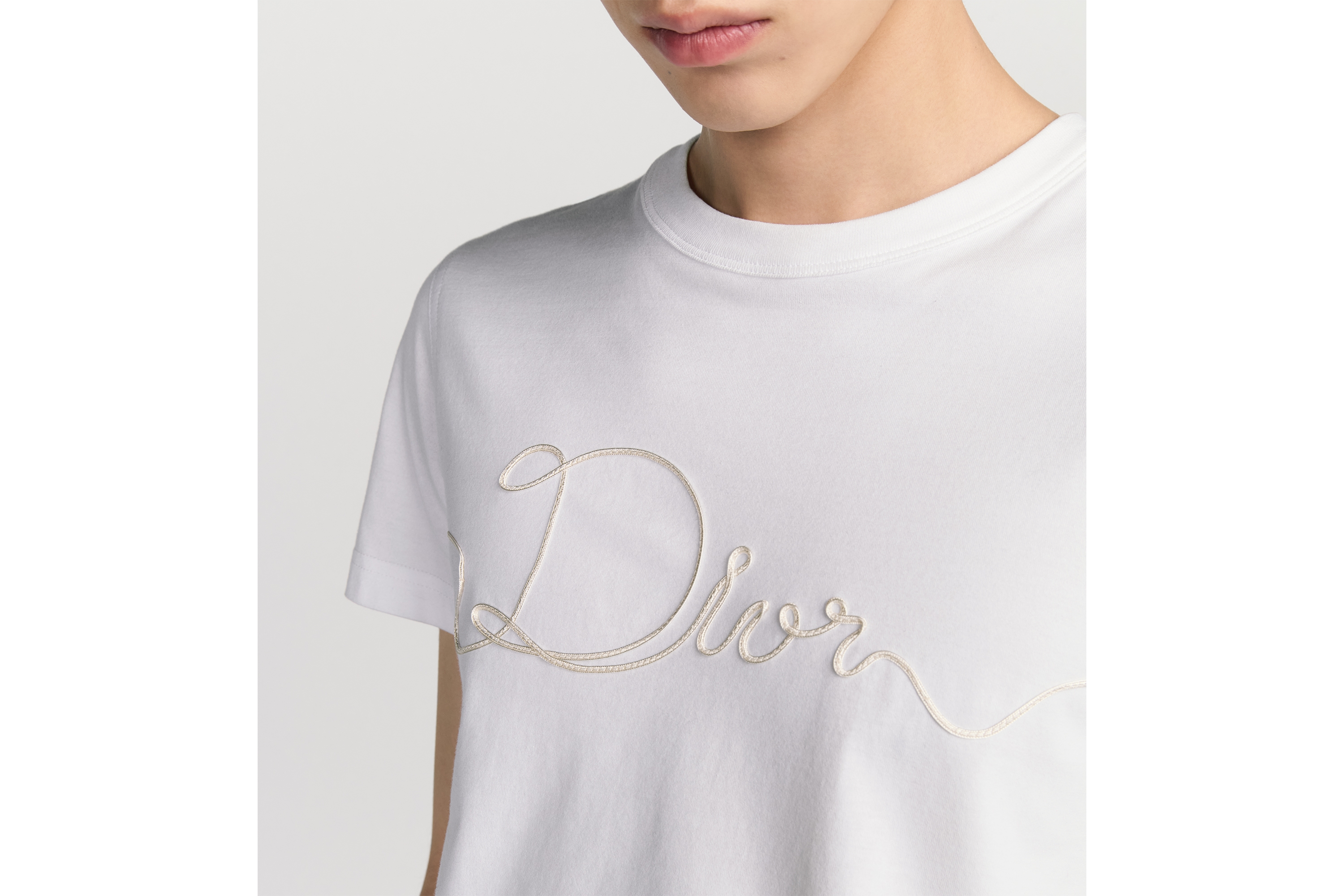 look_image_alt_prefix 常规版型 T 恤 白色棉质平纹针织面料 Dior Ribbon 标志 E10