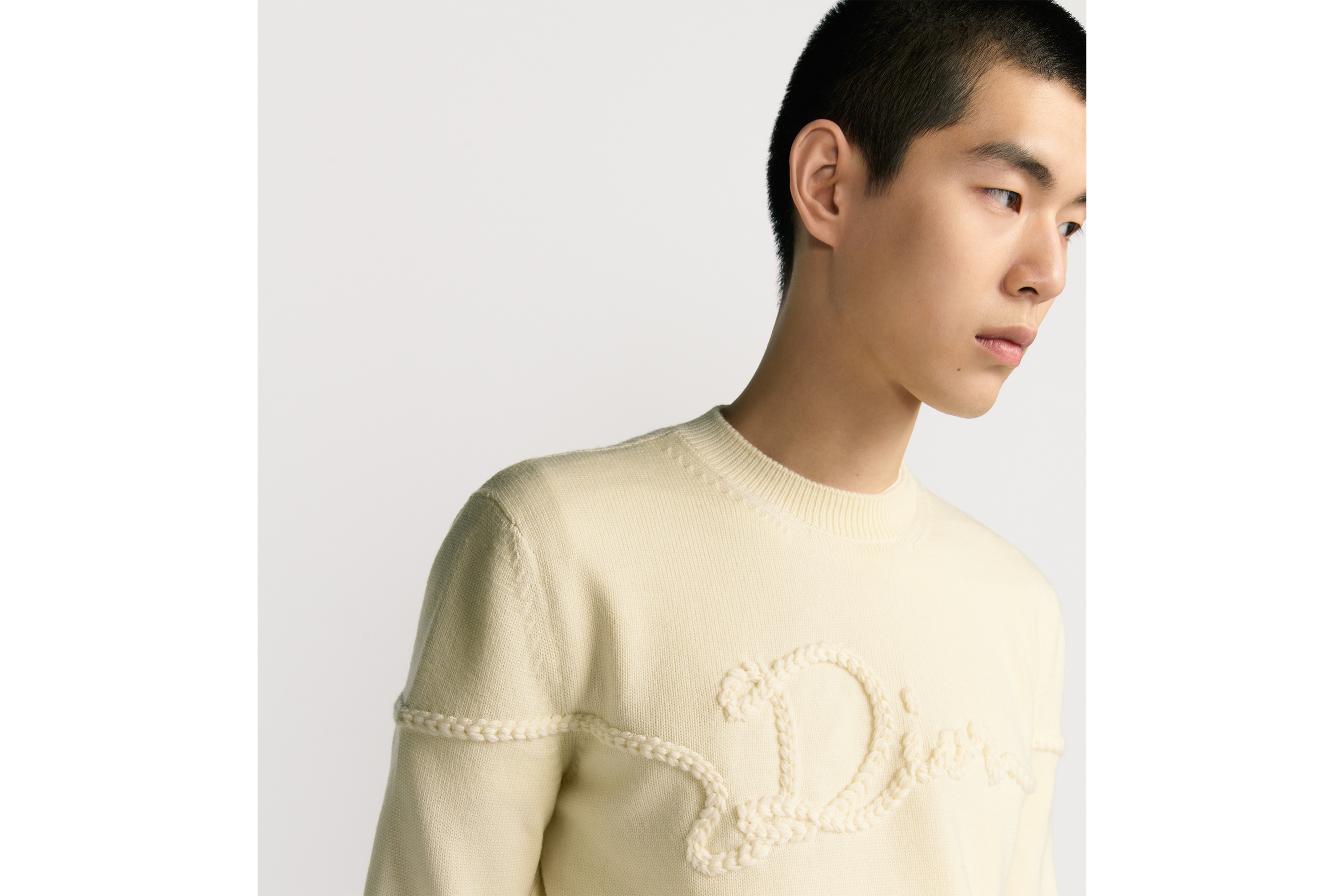 look_image_alt_prefix 针织衫 白色绵羊毛平纹针织面料 Dior Ribbon 标志 E04