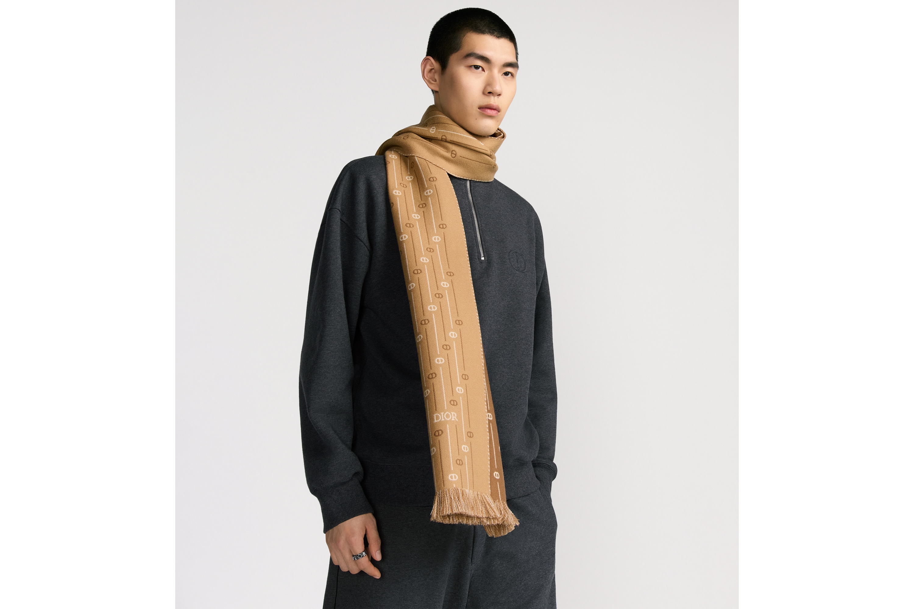 围巾 深米色绵羊毛面料 CD Icon 条纹图案 E33