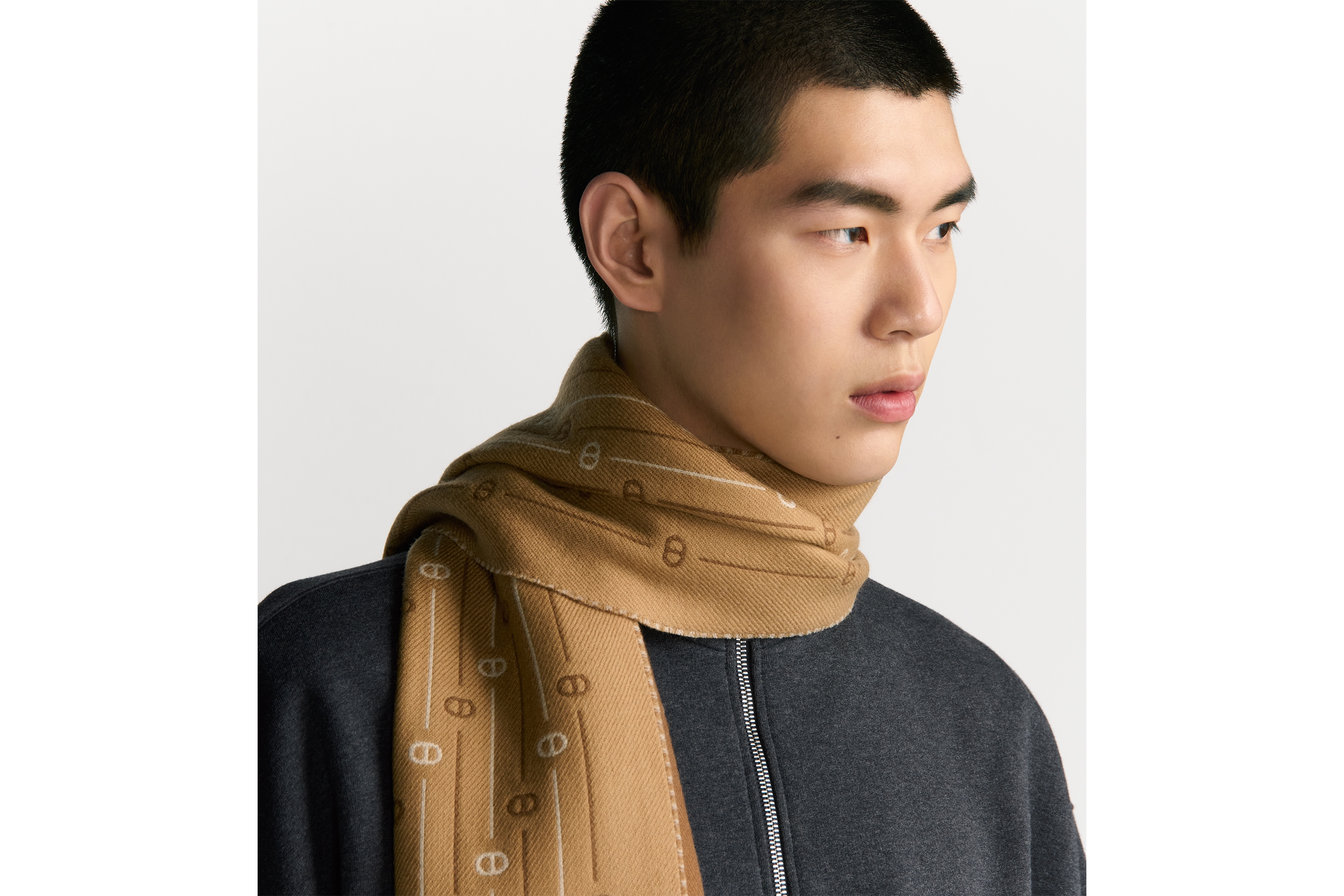 look_image_alt_prefix 围巾 深米色绵羊毛面料 CD Icon 条纹图案 E34