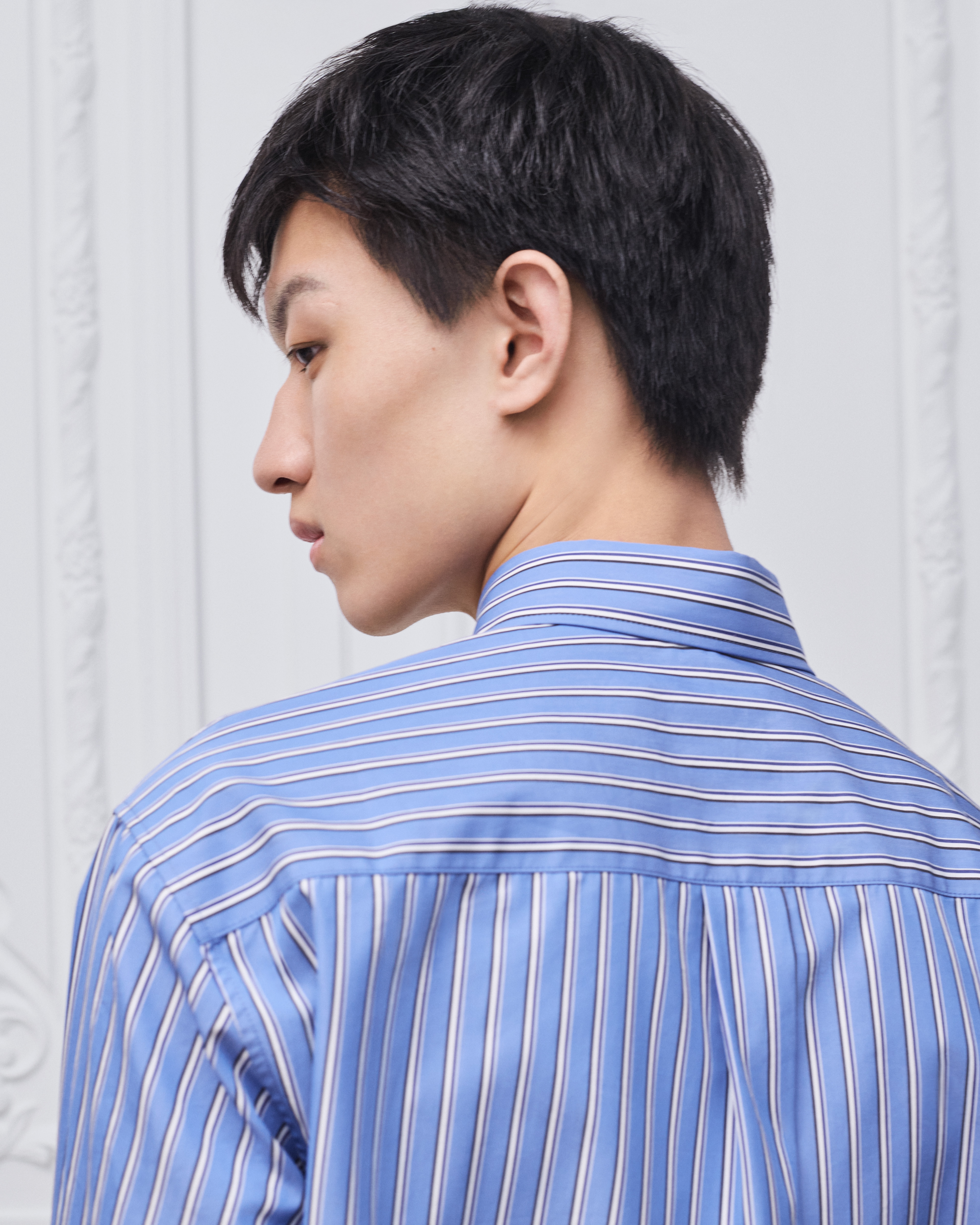 look_image_alt_prefix 衬衫 蓝色条纹棉质府绸面料 Dior 刺绣 E09