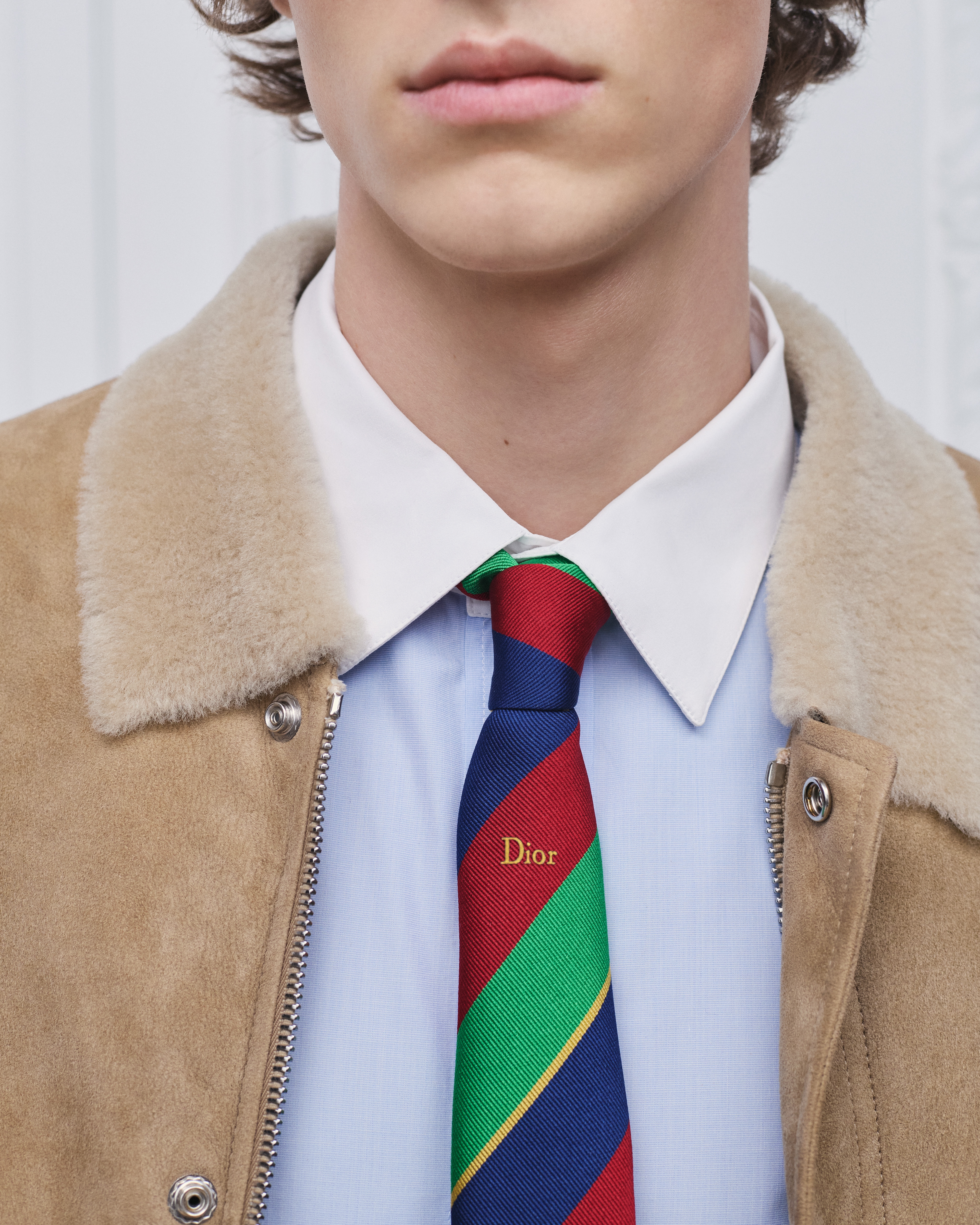 look_image_alt_prefix Dior 条纹领带 多色桑蚕丝面料 E36