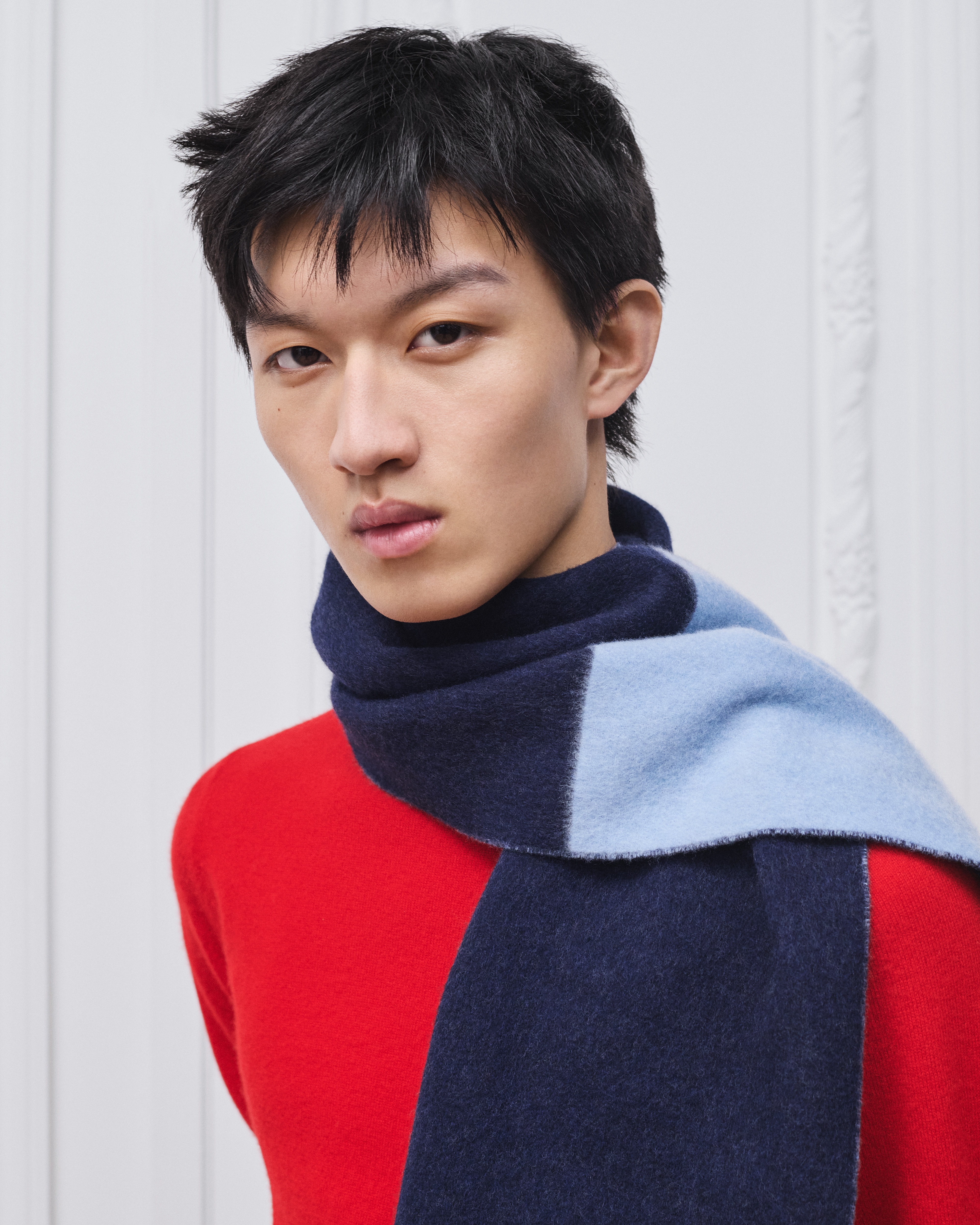 look_image_alt_prefix 双面围巾 海军蓝色和蓝色绵羊毛和山羊绒混纺面料 Dior 刺绣 E32