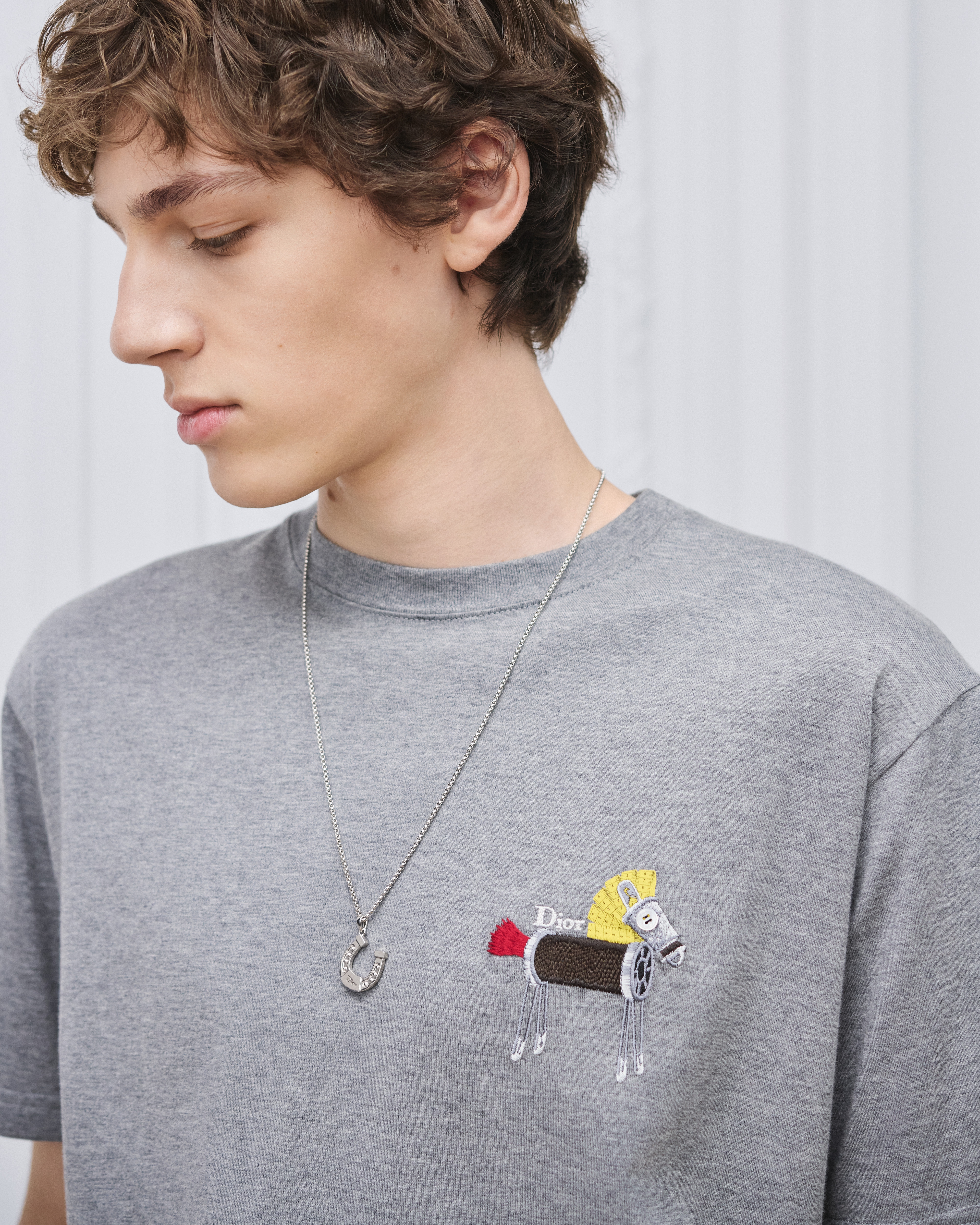 look_image_alt_prefix Dior Horseshoe 吊坠项链 银色饰面铜合金 E39