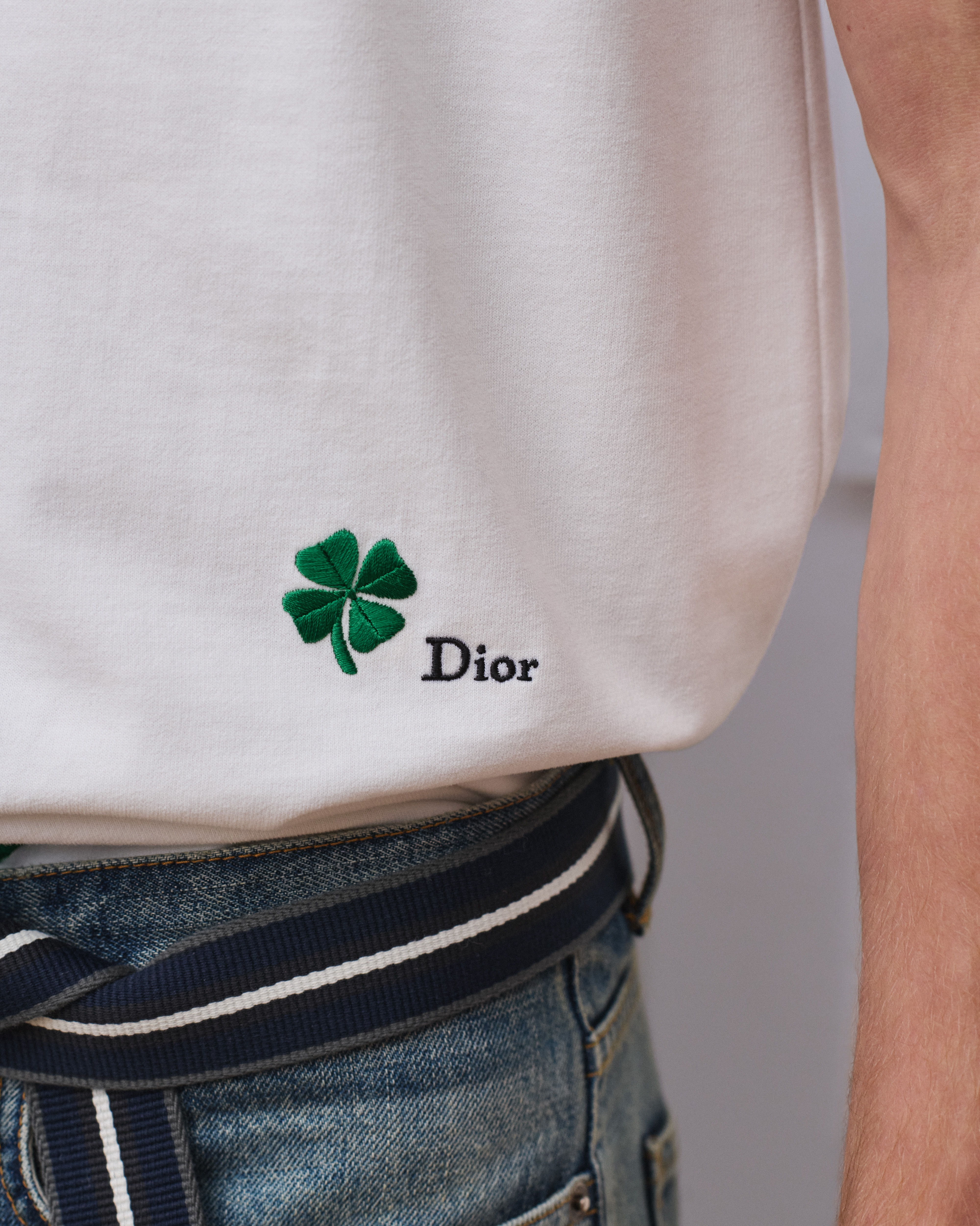 look_image_alt_prefix 宽松版型 T 恤 白色棉质平纹针织面料 Dior Clover 图案刺绣 E10