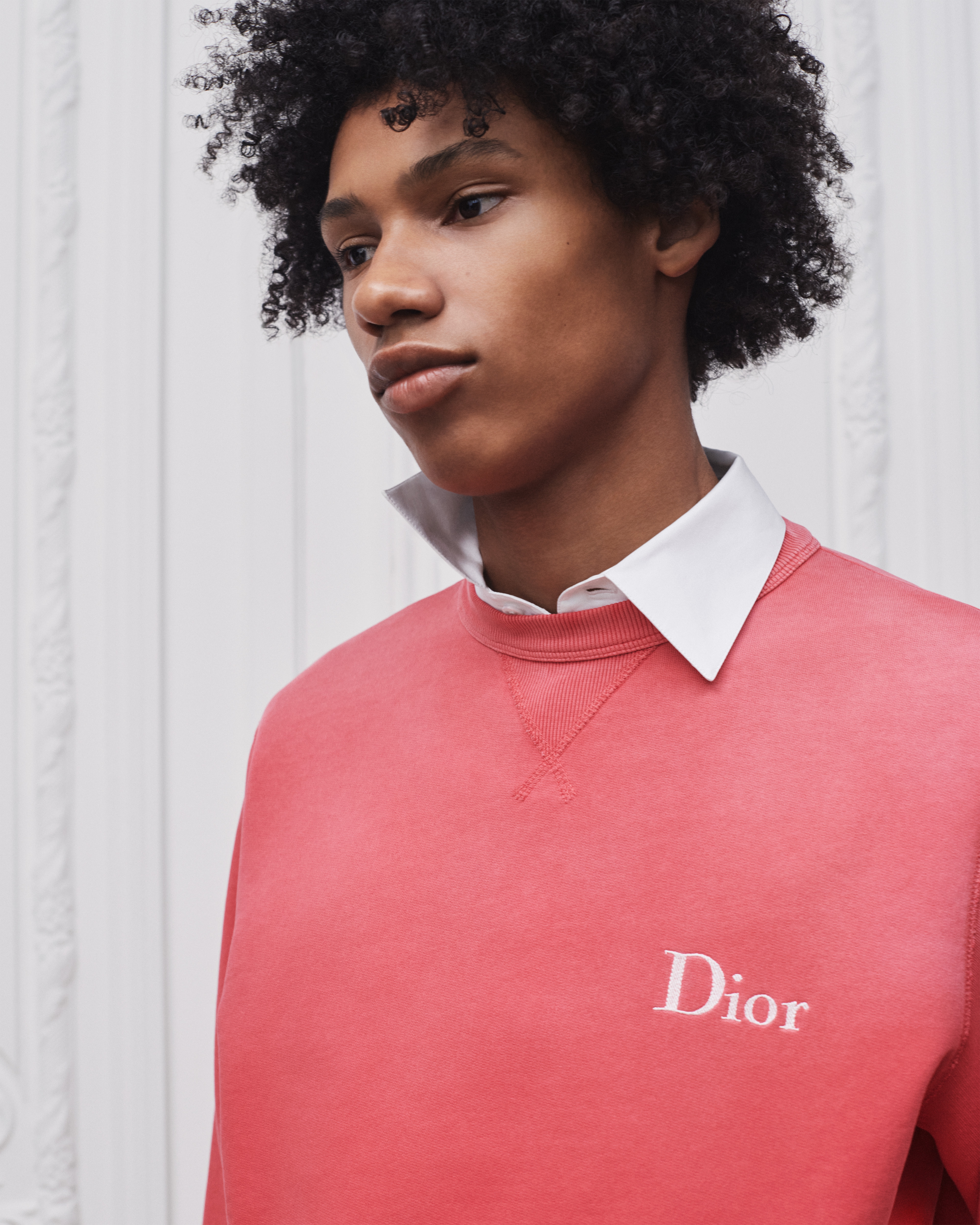 look_image_alt_prefix 卫衣 红色棉质起绒面料 Dior 刺绣 E04
