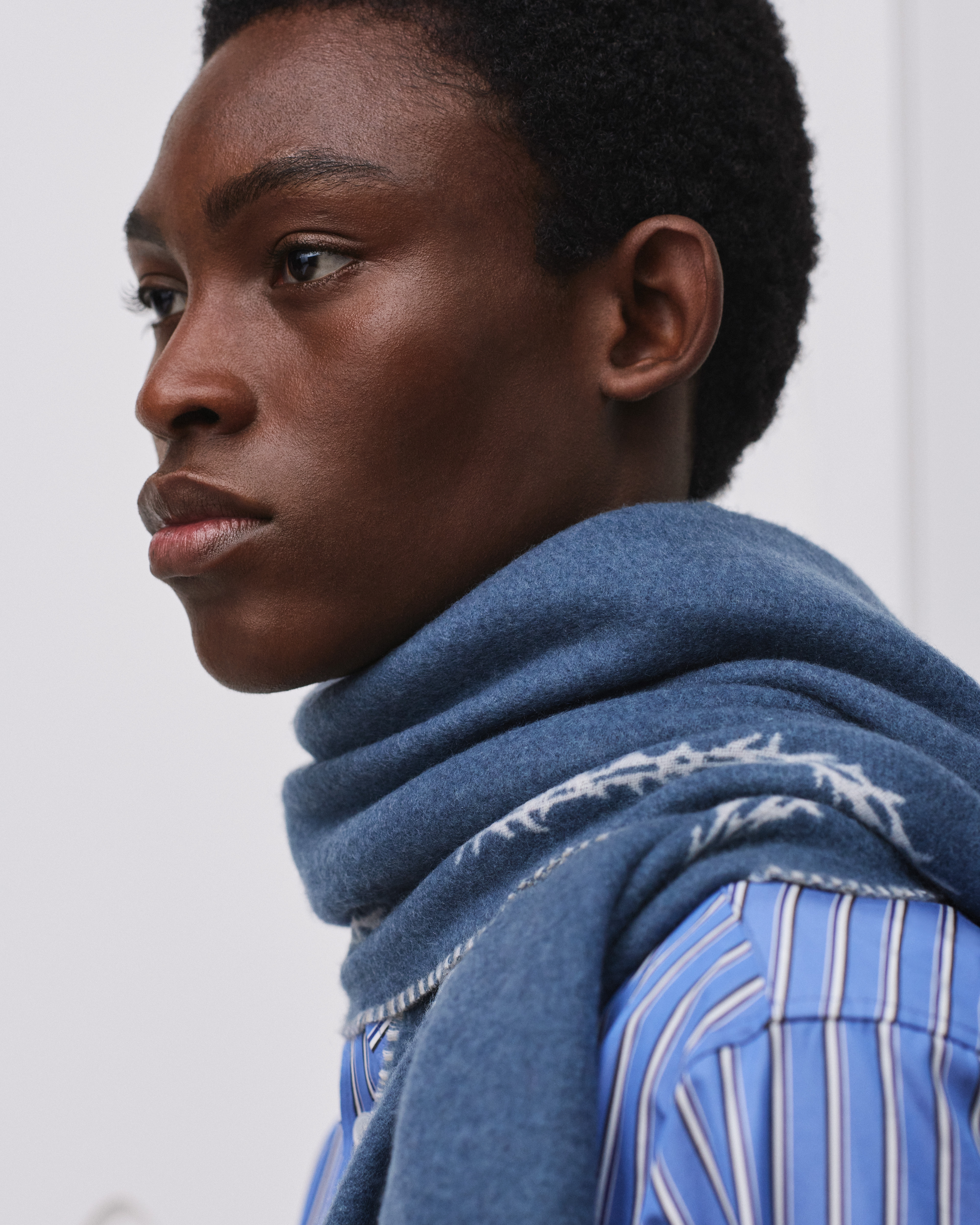 look_image_alt_prefix 围巾 蓝色和白色绵羊毛和山羊绒混纺面料 E33