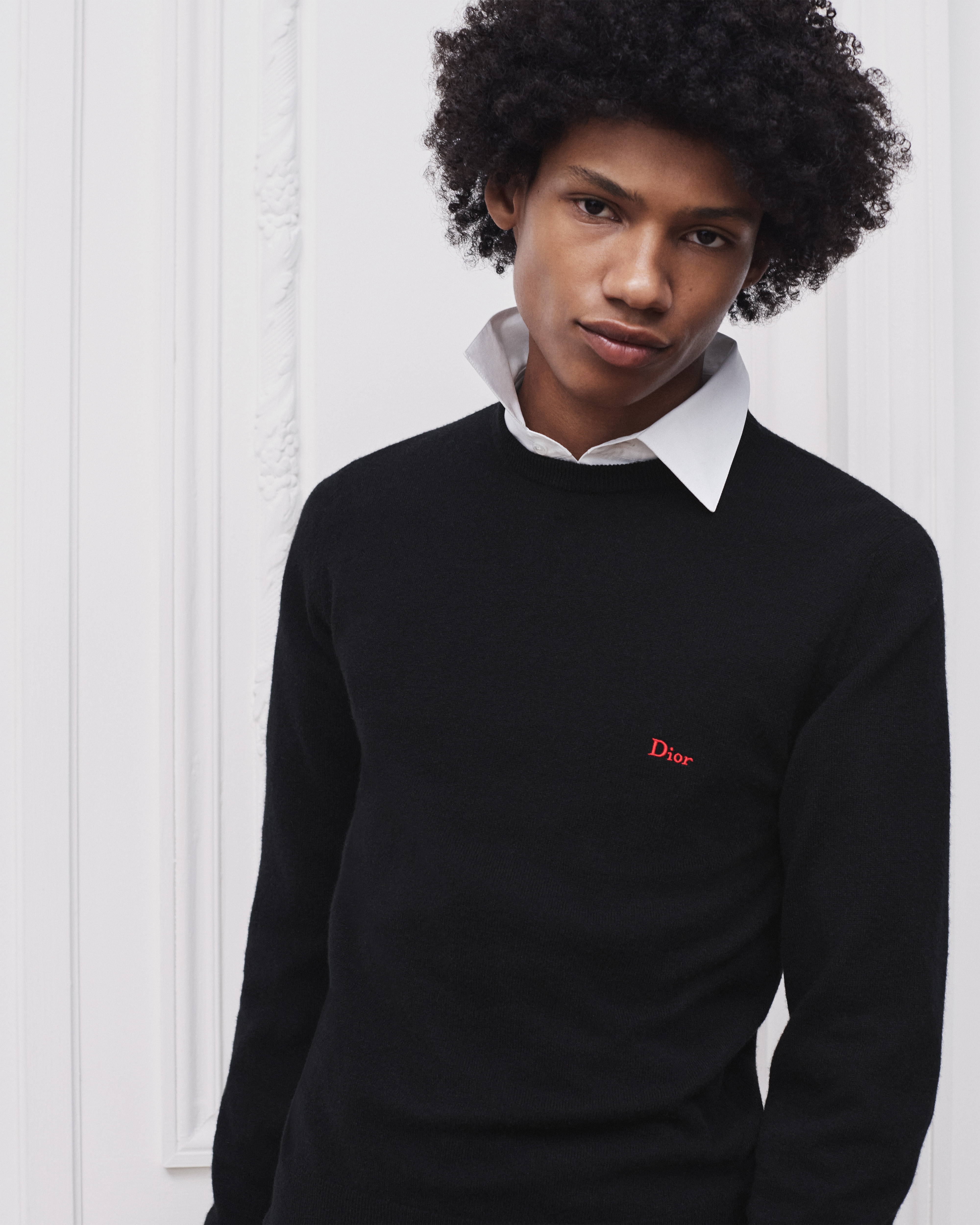 look_image_alt_prefix 针织衫 黑色山羊绒平纹针织面料 Dior 刺绣 E01