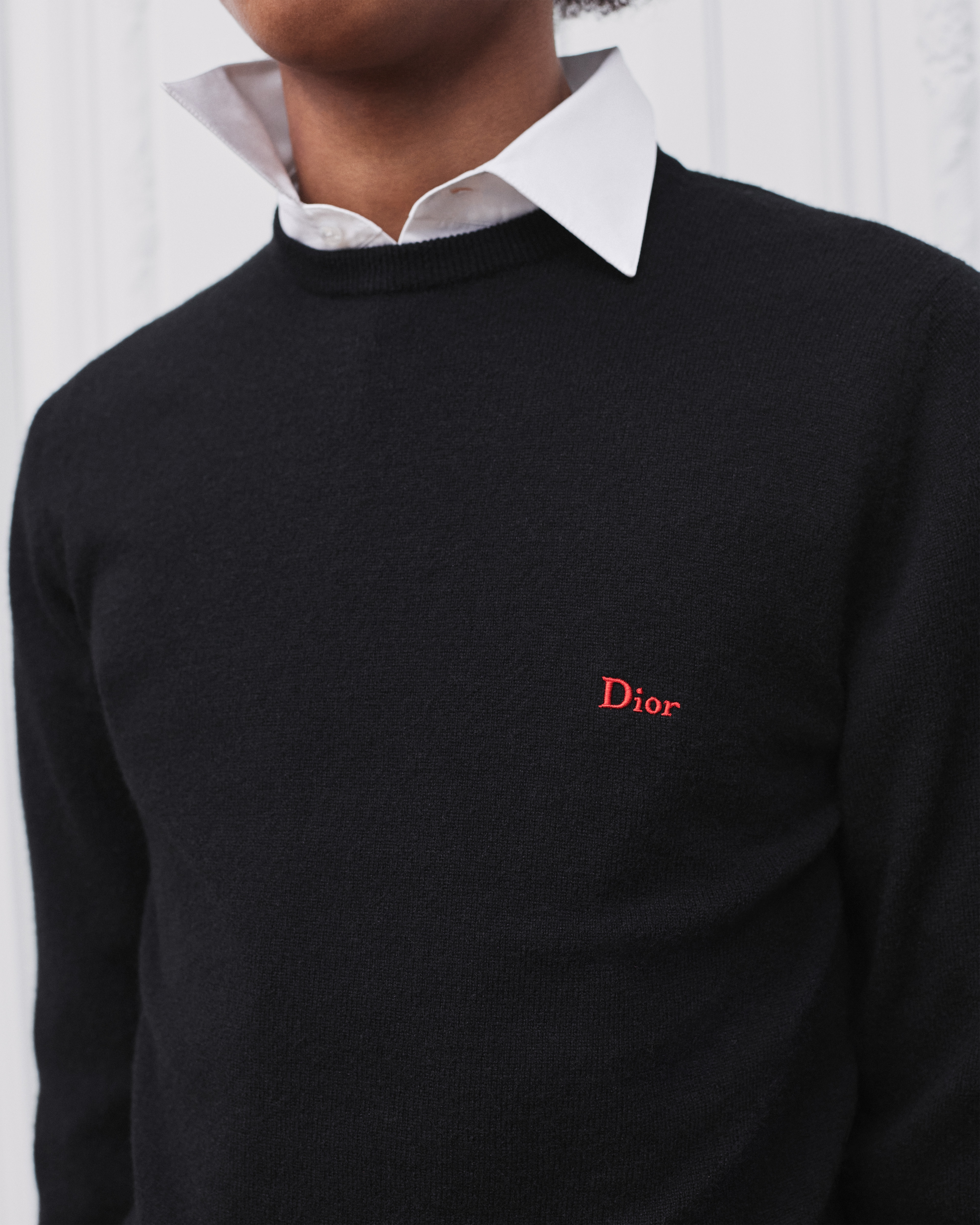 look_image_alt_prefix 针织衫 黑色山羊绒平纹针织面料 Dior 刺绣 E04