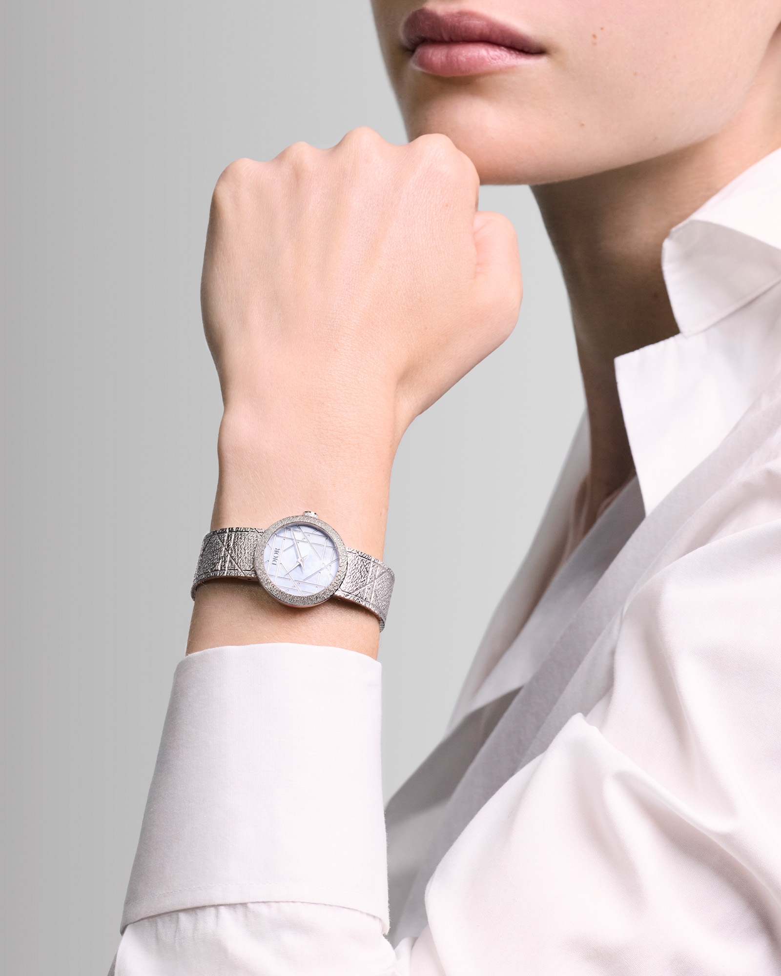 La D My Dior 腕表 直径 25 毫米，钢、灰色珍珠母贝和钻石 E01