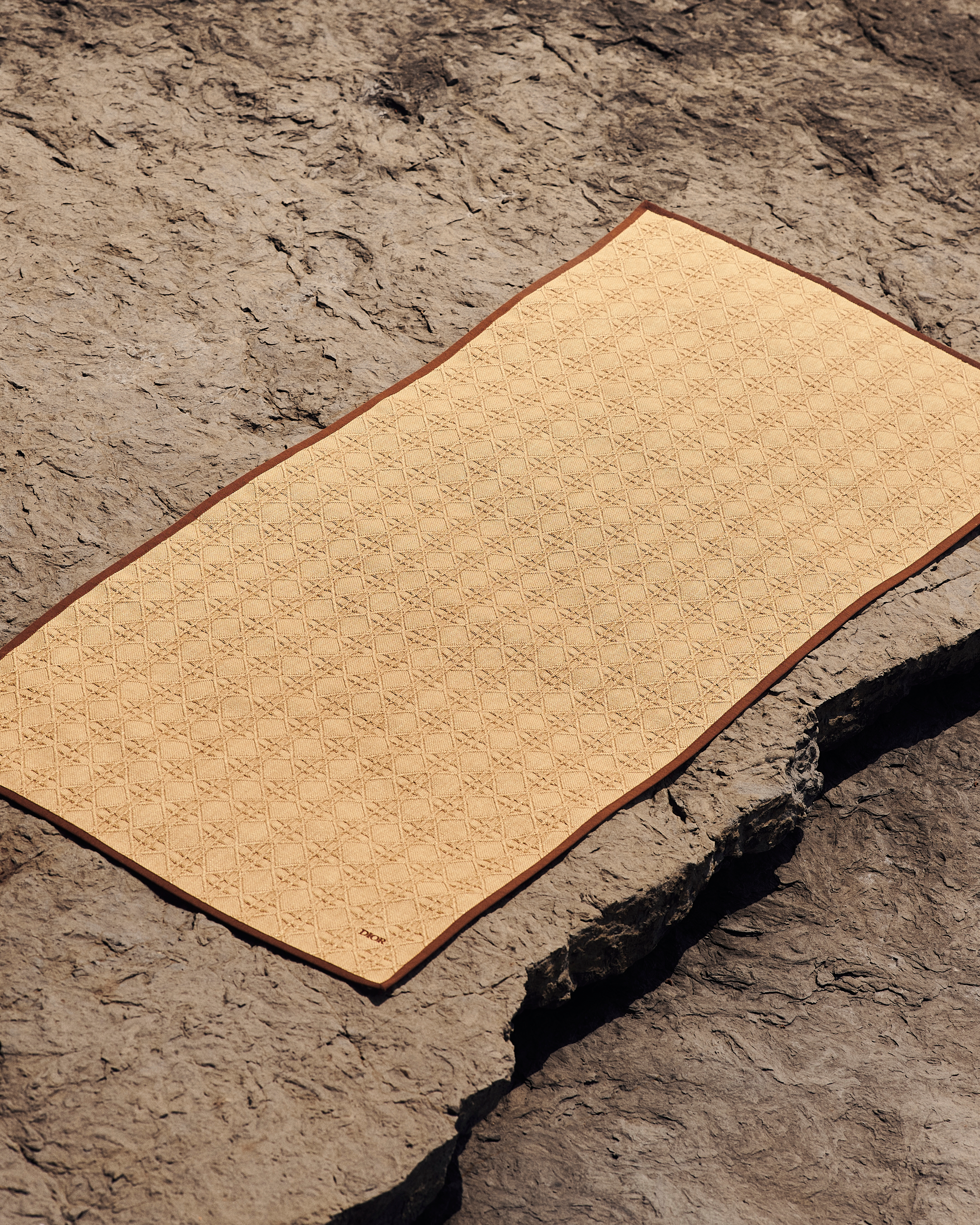 沙滩垫 酒椰草效果科技面料和牛皮革藤格纹图案 E07