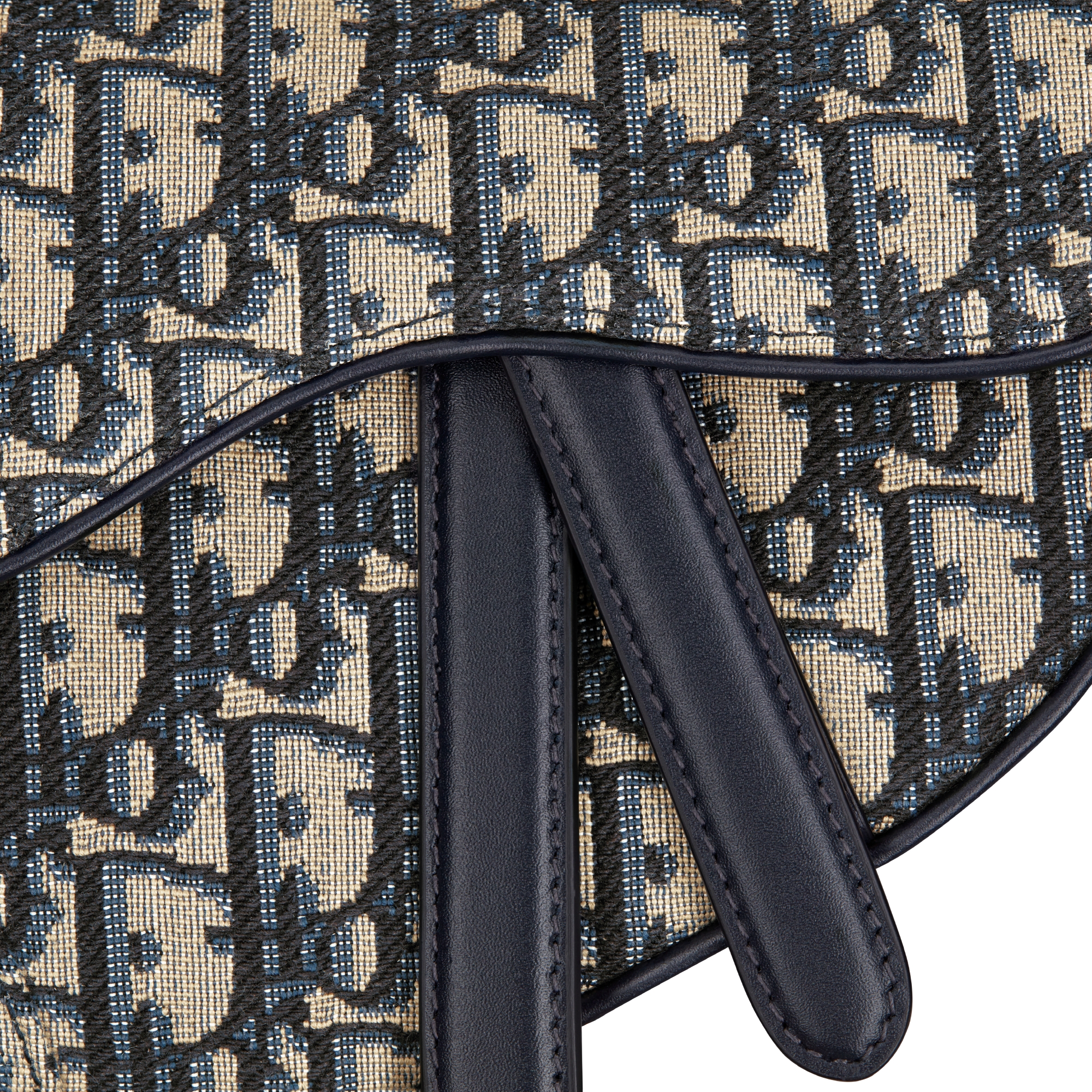 迷你马鞍包（附肩带） 蓝色 Oblique 印花 E09