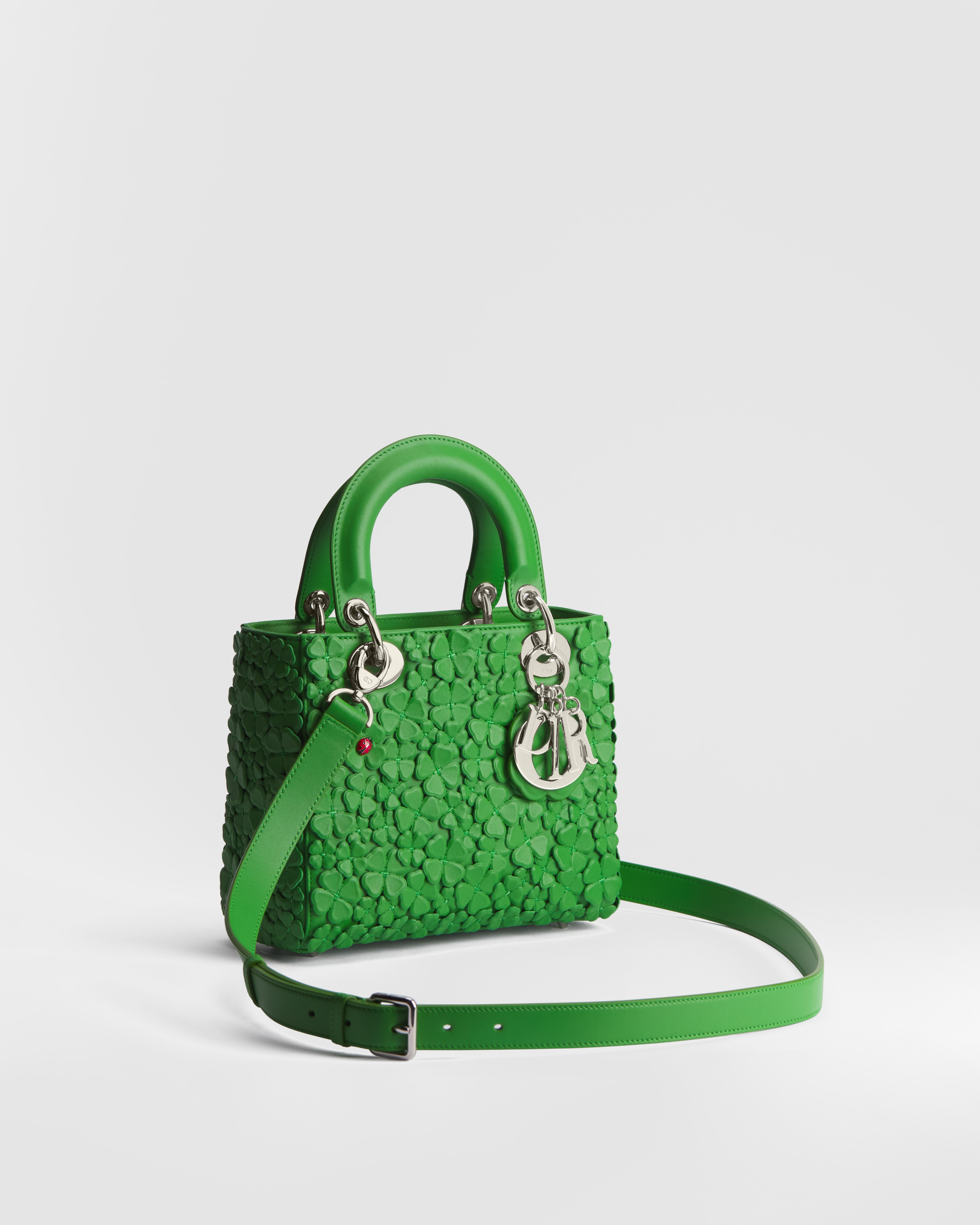 小号 Lady Dior 手袋（附肩带） 幸运四叶草绿羊皮革 Dior Clover Allover 图案刺绣 E03