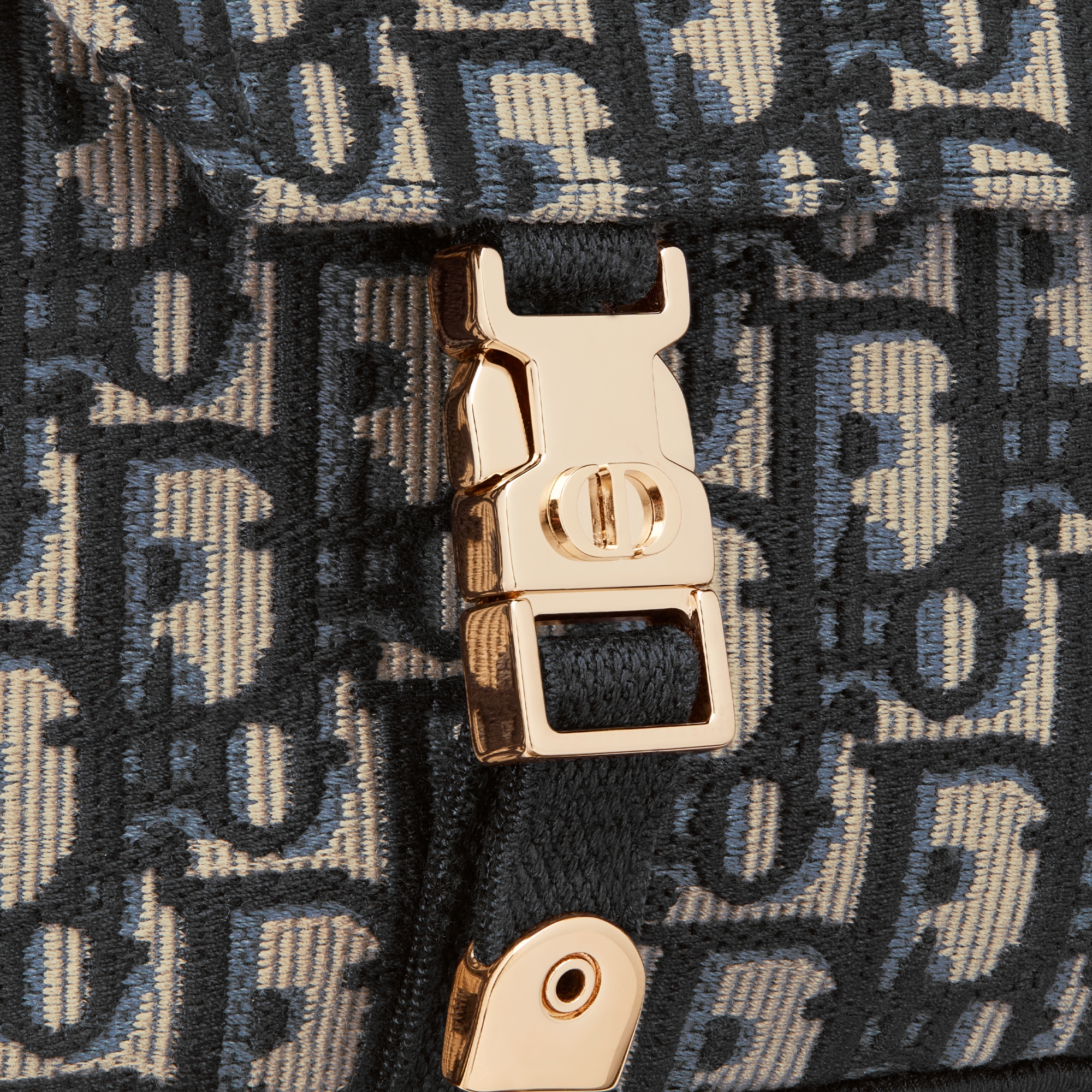 中号 Diorcamp 手袋 蓝色 Oblique 印花刺绣 E09