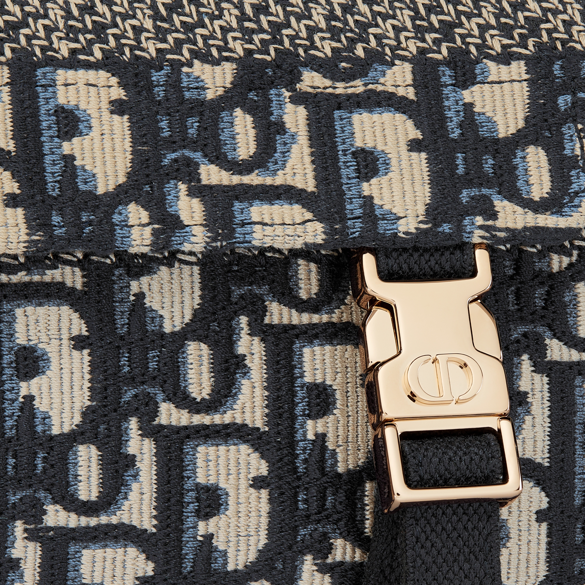 小号 Diorcamp 手袋 蓝色 Oblique 印花面料 E09