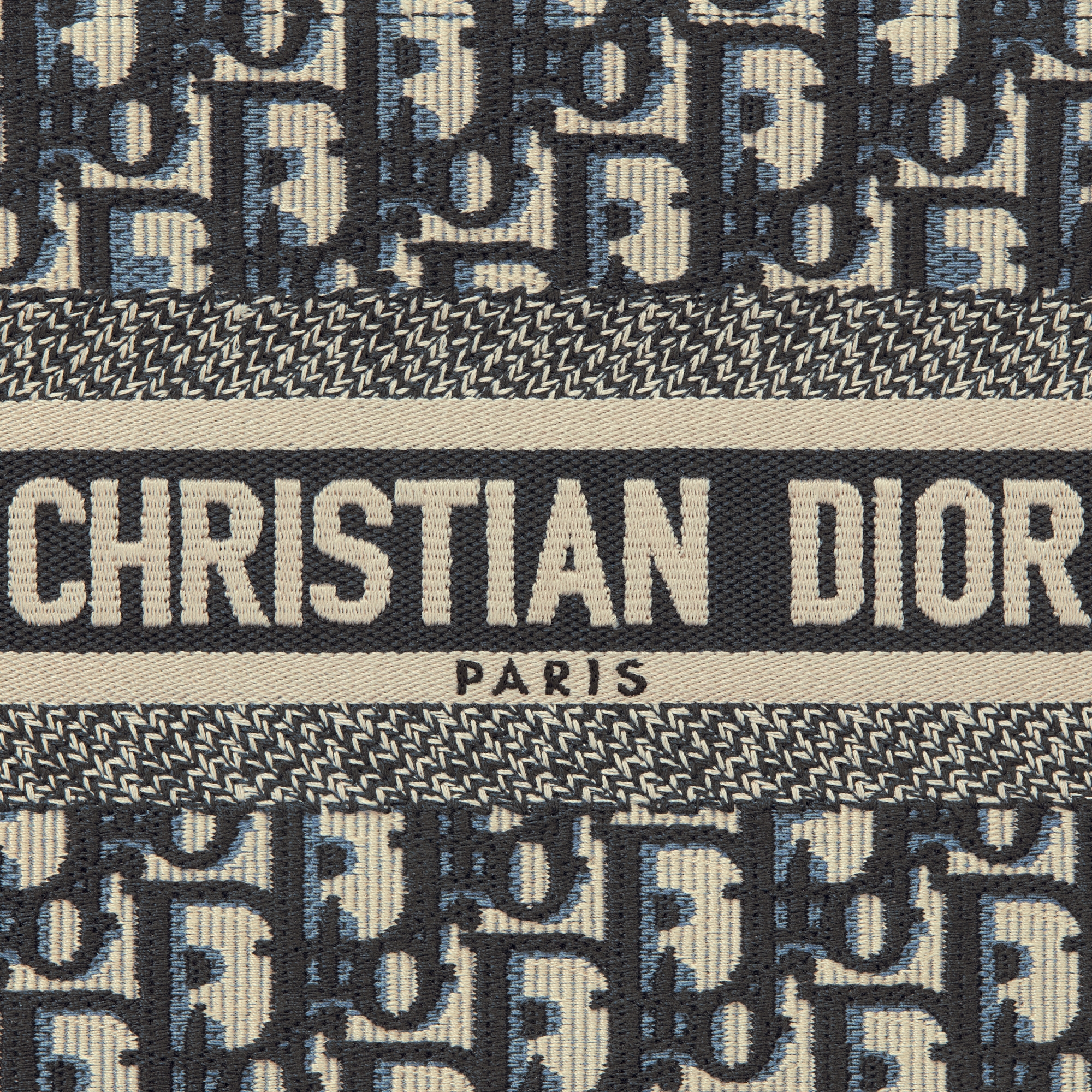 小号 Book Tote 手袋 米白色和蓝色 Oblique 印花面料（26.5 x 22 x 14 厘米） E09