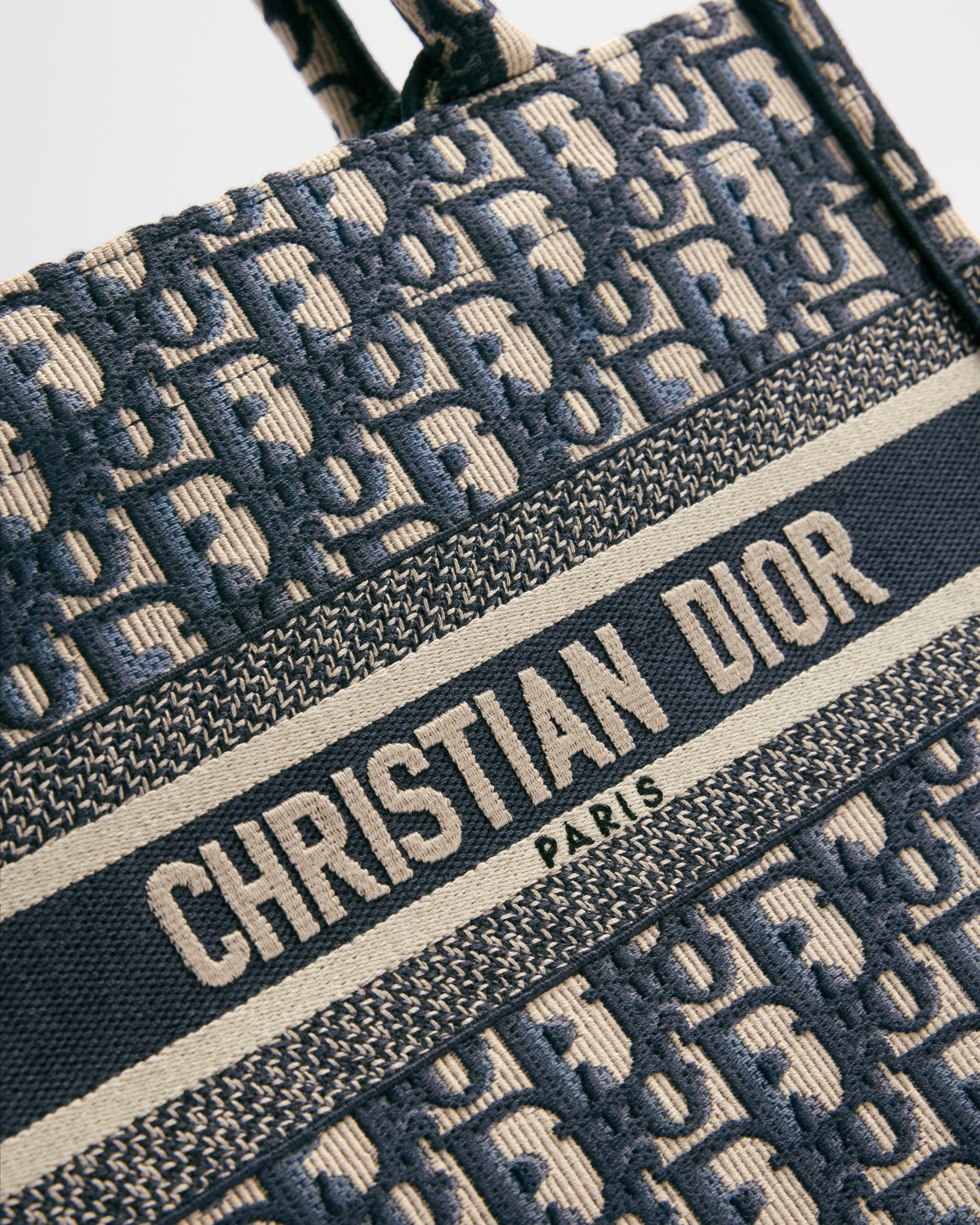 小号 Book Tote 手袋 米白色和蓝色 Oblique 印花面料（26.5 x 22 x 14 厘米） E09