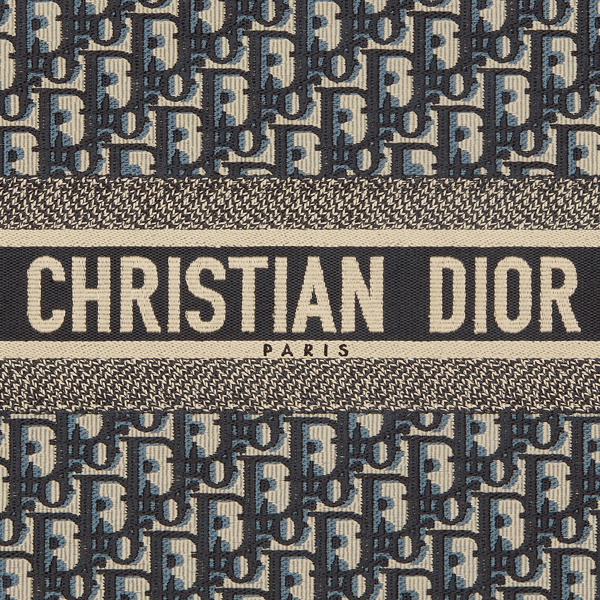 大号 Book Tote 手袋 米白色和蓝色 Oblique 印花面料（42 x 35 x 18.5 厘米） E09