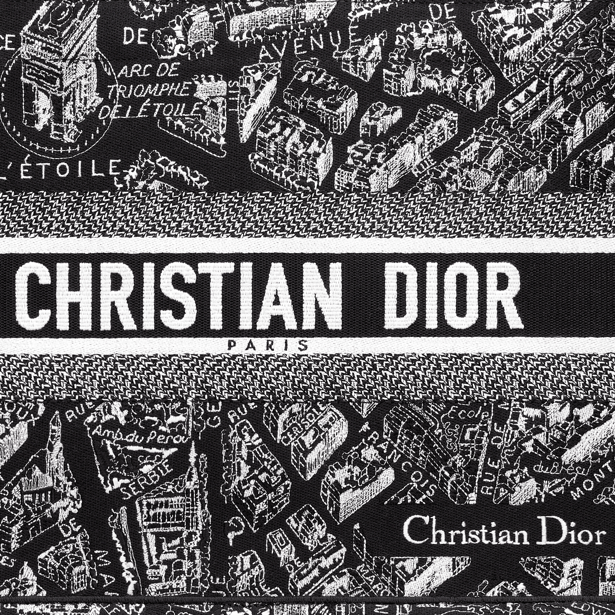 中号 Book Tote 手袋 黑色和白色 Plan de Paris 图案刺绣面料（36 x 27.5 x 16.5 厘米） E09