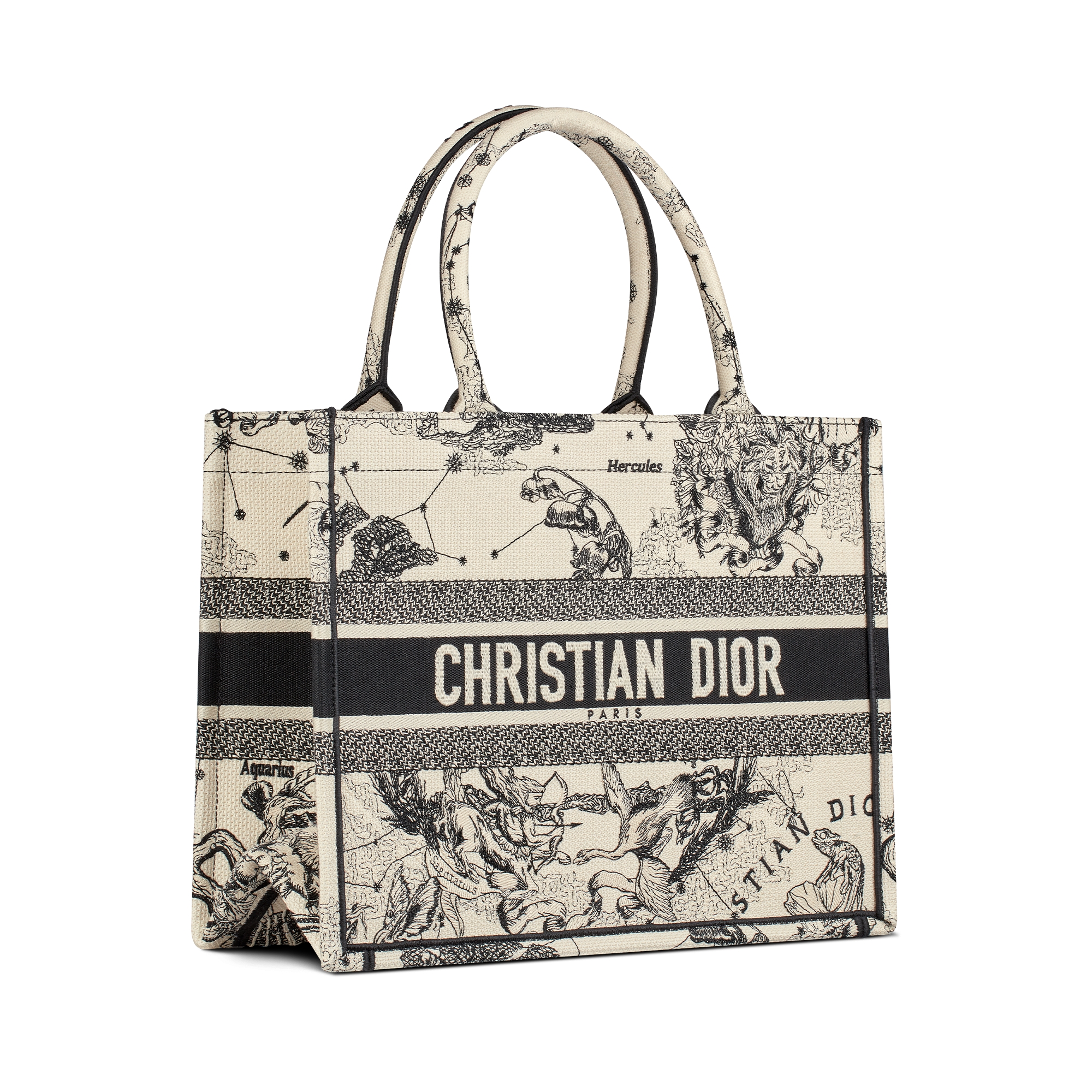 中号 Book Tote 手袋 奶白色和黑色 Dior Zodiac 图案刺绣 (36 x 27.5 x 16.5 厘米) E03