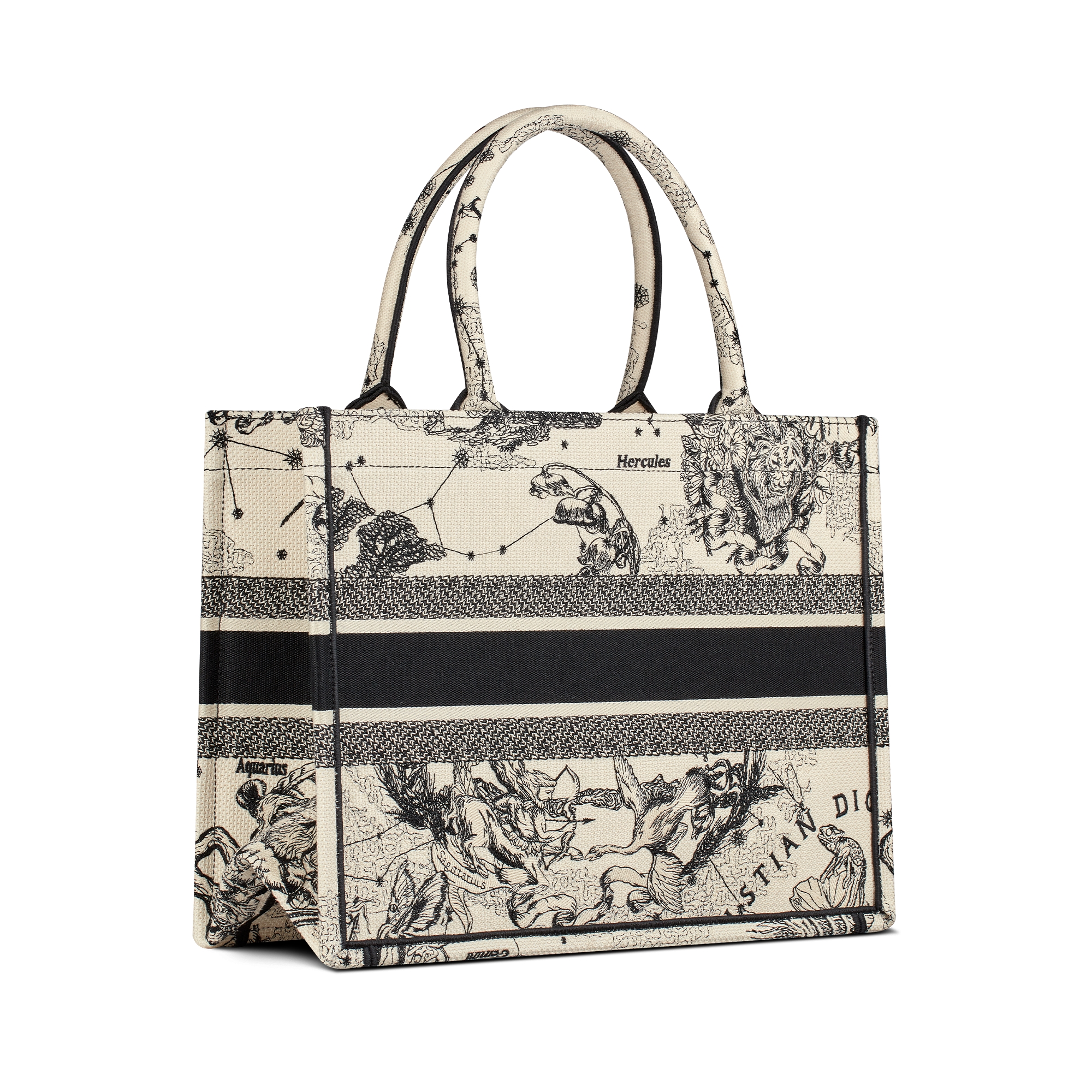 中号 Book Tote 手袋 奶白色和黑色 Dior Zodiac 图案刺绣 (36 x 27.5 x 16.5 厘米) E05