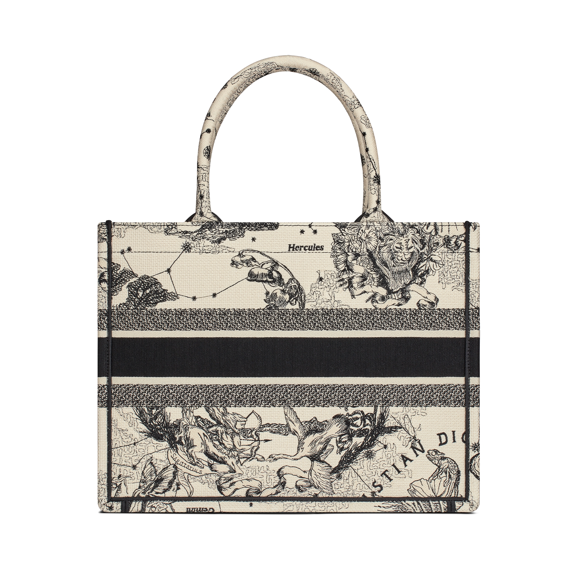 中号 Book Tote 手袋 奶白色和黑色 Dior Zodiac 图案刺绣 (36 x 27.5 x 16.5 厘米) E08