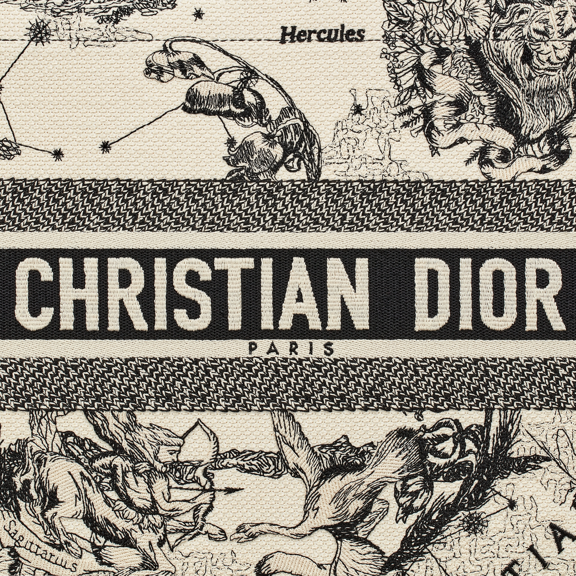 中号 Book Tote 手袋 奶白色和黑色 Dior Zodiac 图案刺绣 (36 x 27.5 x 16.5 厘米) E09