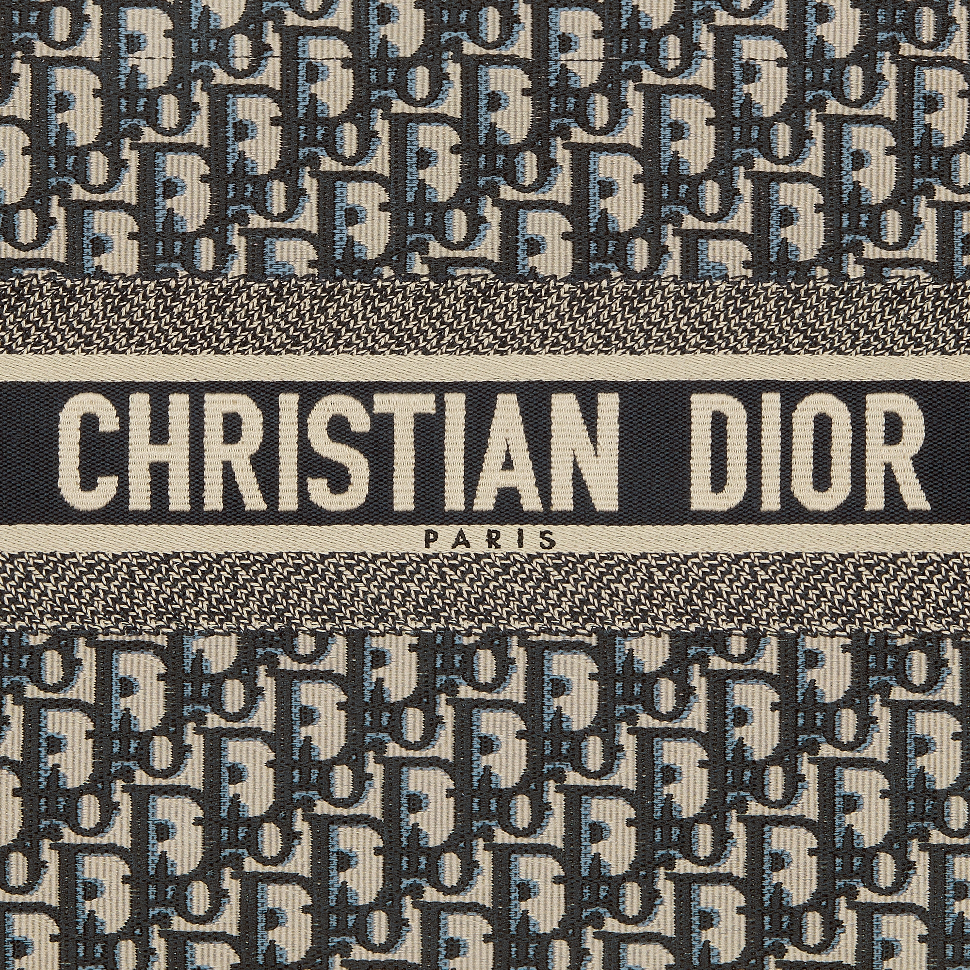 中号 Book Tote 手袋 米白色和蓝色 Oblique 印花面料（36 x 27.5 x 16.5 厘米） E09