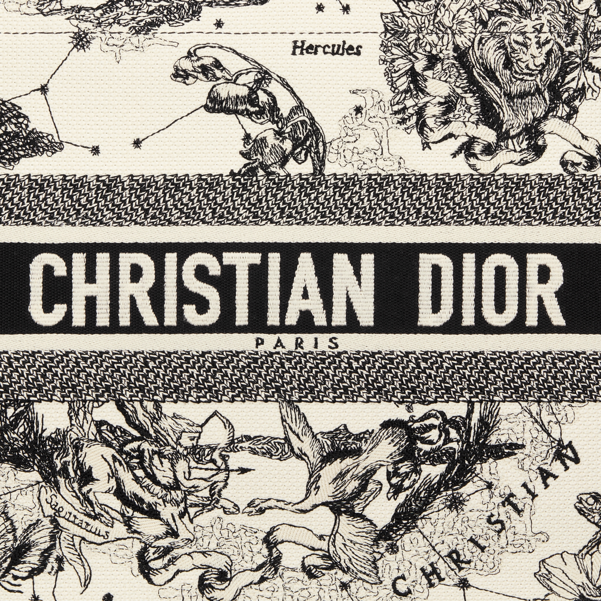 中号 Book Tote 手袋 奶白色和黑色 Dior Zodiac 图案刺绣搭配黑色牛皮革（36.5 x 28 x 16.5 厘米） E09