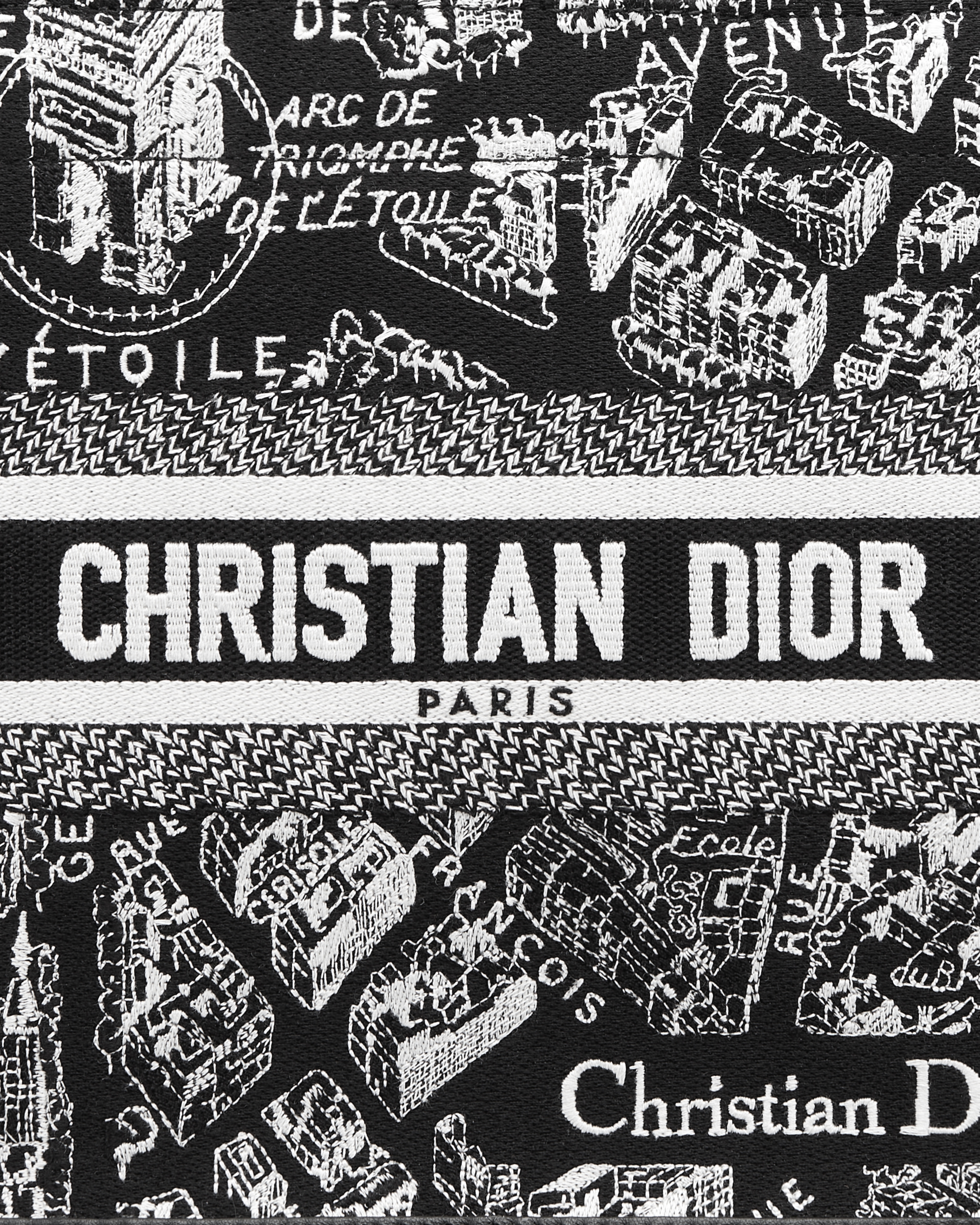 小号 Book Tote 手袋 黑色和白色 Plan de Paris 图案刺绣搭配黑色牛皮革（26.5 x 22 x 14 厘米） E09