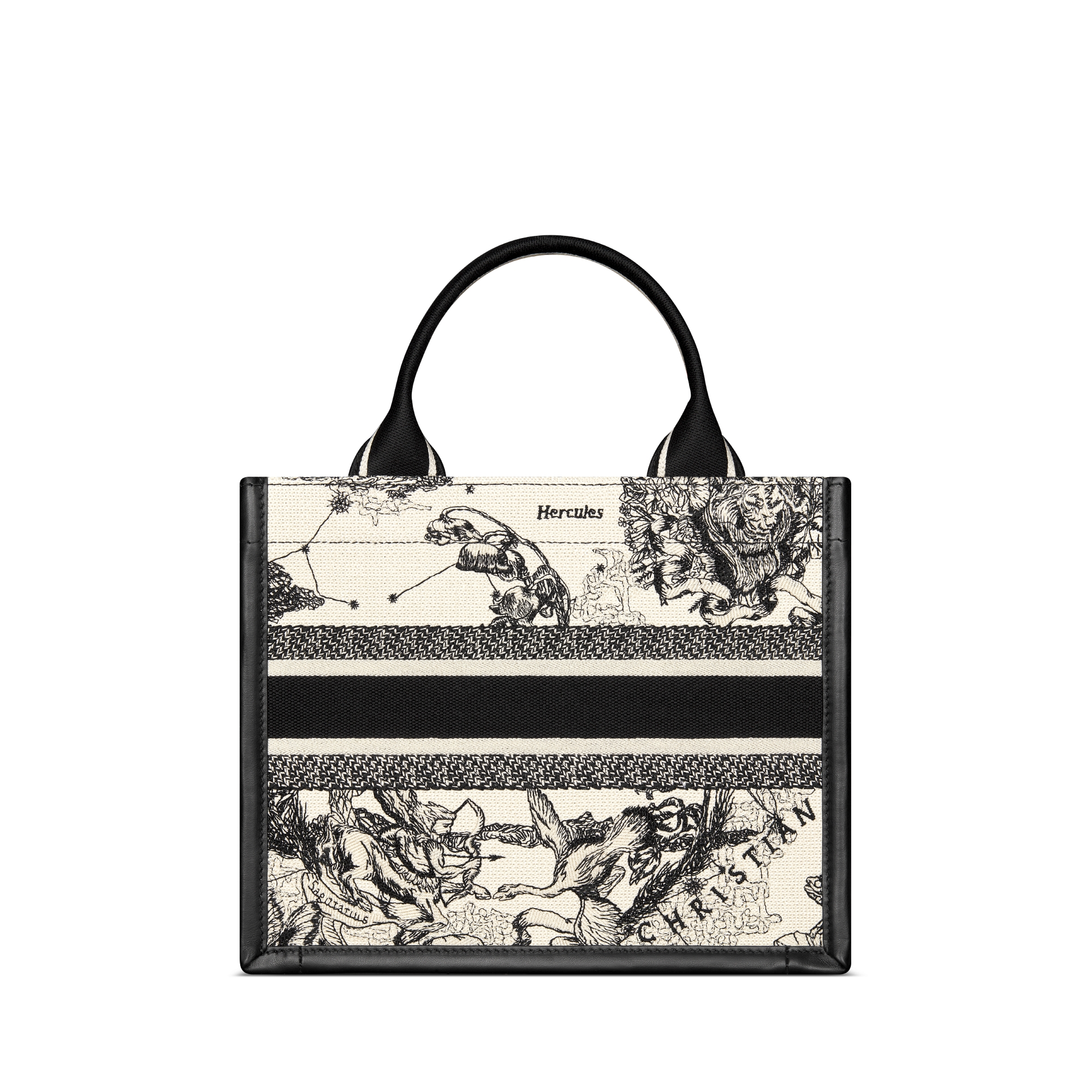 小号 Book Tote 手袋 奶白色和黑色 Dior Zodiac 图案刺绣搭配黑色牛皮革（26.5 x 22 x 14 厘米） E08