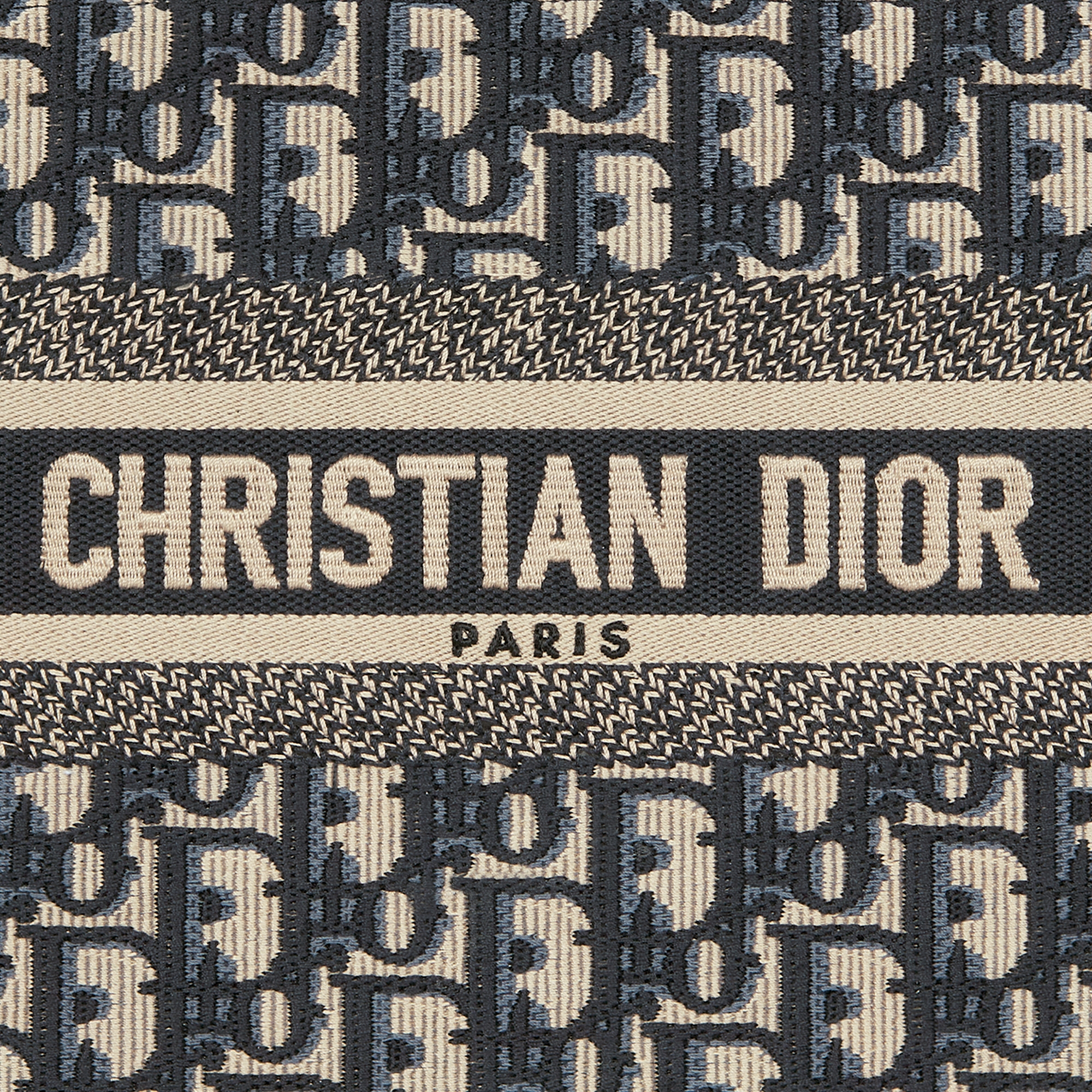 小号Book Tote 手袋蓝色Oblique 印花和牛皮革（26.5 x 22 x 14