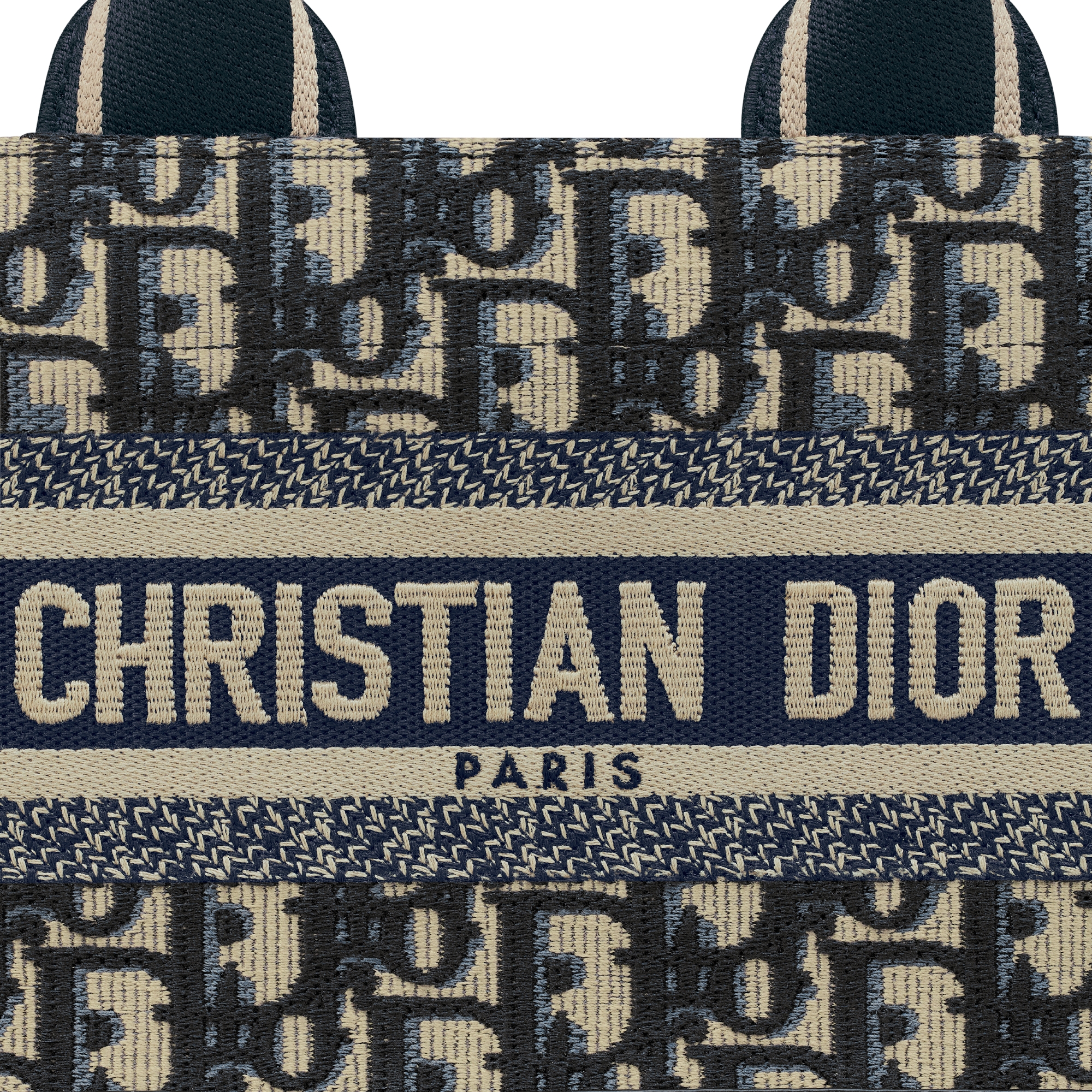 East-West Book Tote 手袋（附肩带） 蓝色 Oblique 印花面料和牛皮革（27 x 14 x 10 厘米） E09