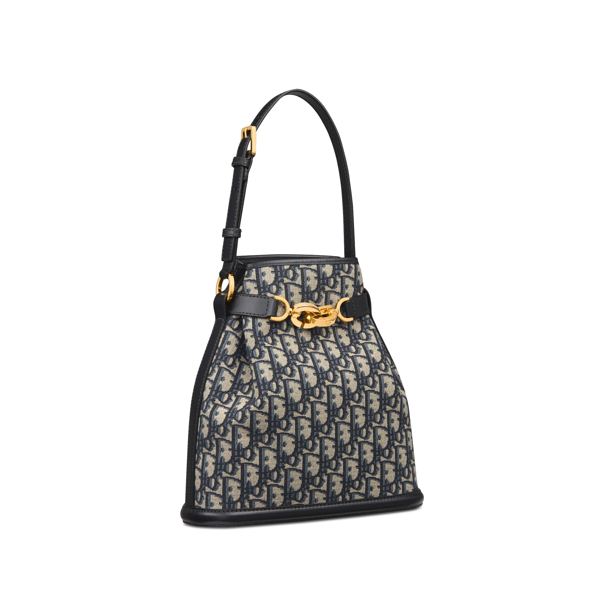 中号 C'est Dior 手袋 蓝色 Oblique 印花面料 E03