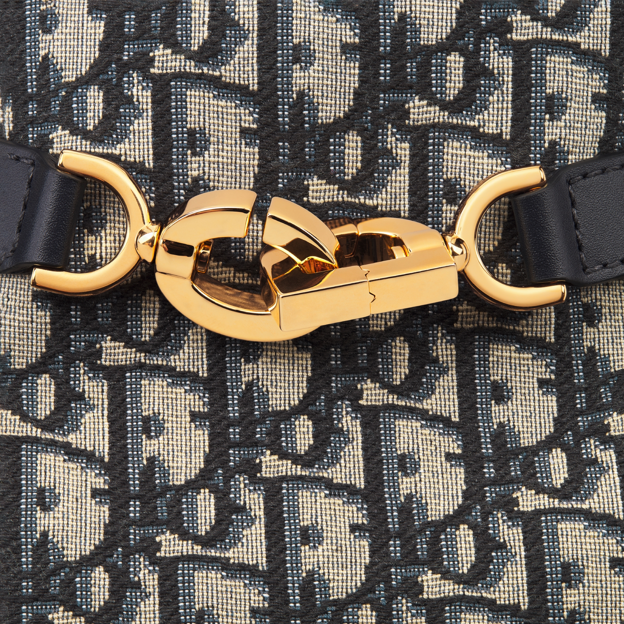 中号 C'est Dior 手袋 蓝色 Oblique 印花面料 E09