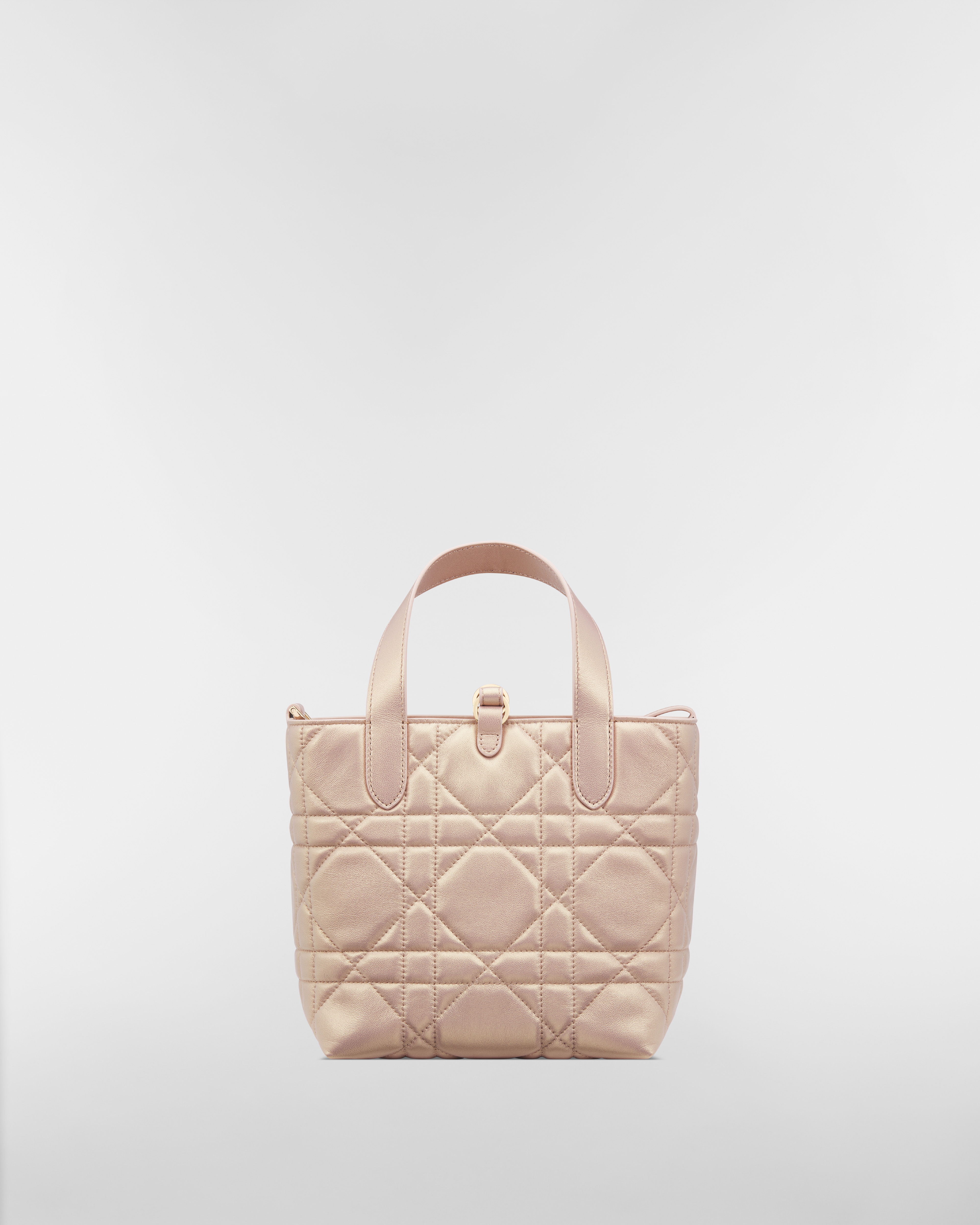 小号 Dior Toujours 竖版手袋 珠光粉色羊皮革超大藤格纹 E08