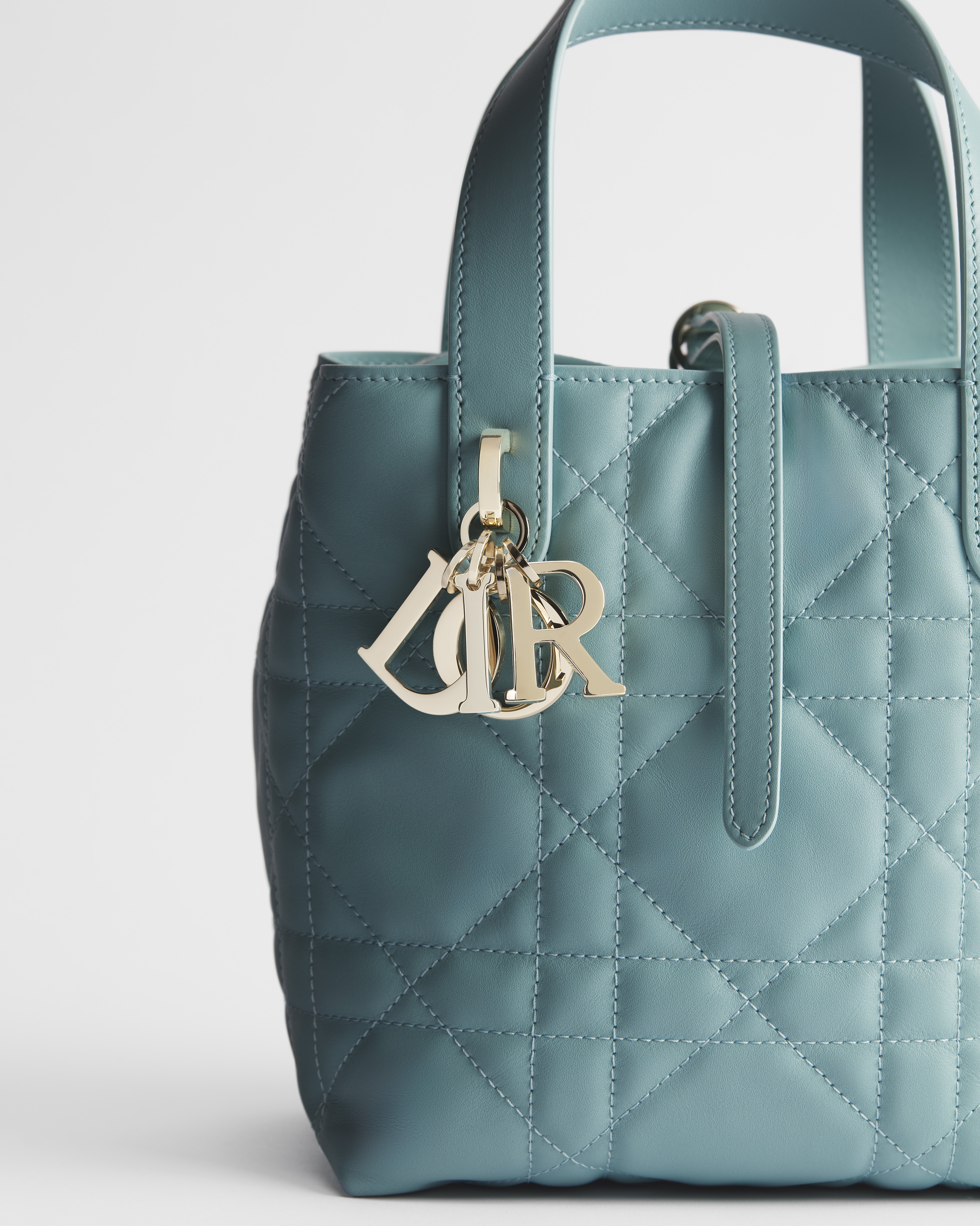 小号 Dior Toujours 竖版手袋 碧玺蓝牛皮革超大藤格纹 E09