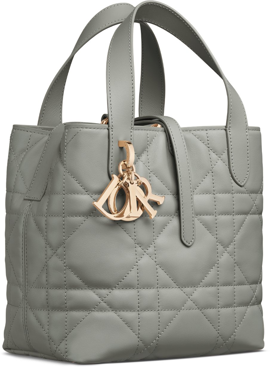 【SEAL限定商品】 小号Dior DIOR 竖版手袋奶白色牛皮革超大藤格纹| Toujours バッグ