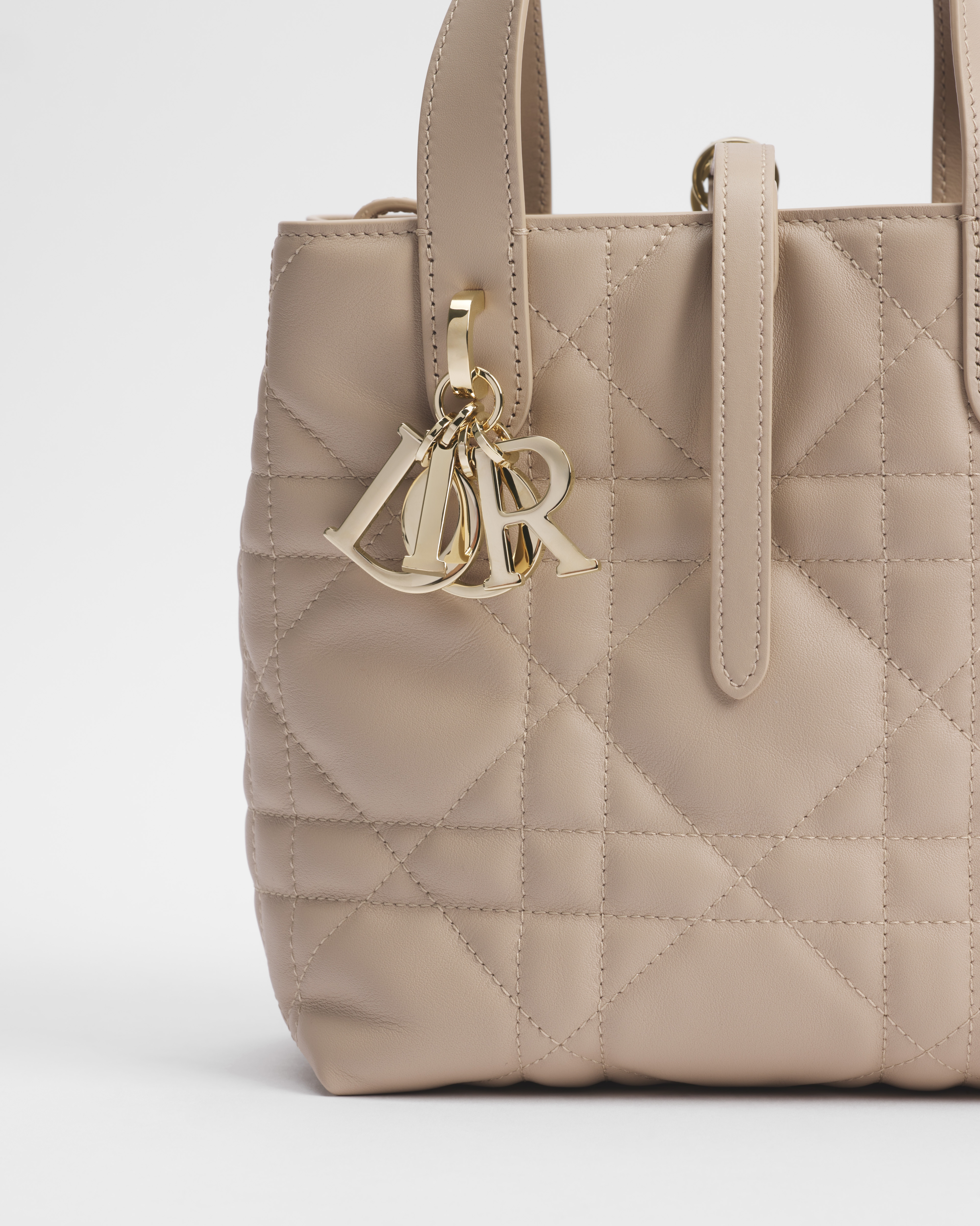 小号 Dior Toujours 竖版手袋 胭脂米色牛皮革超大藤格纹 E09