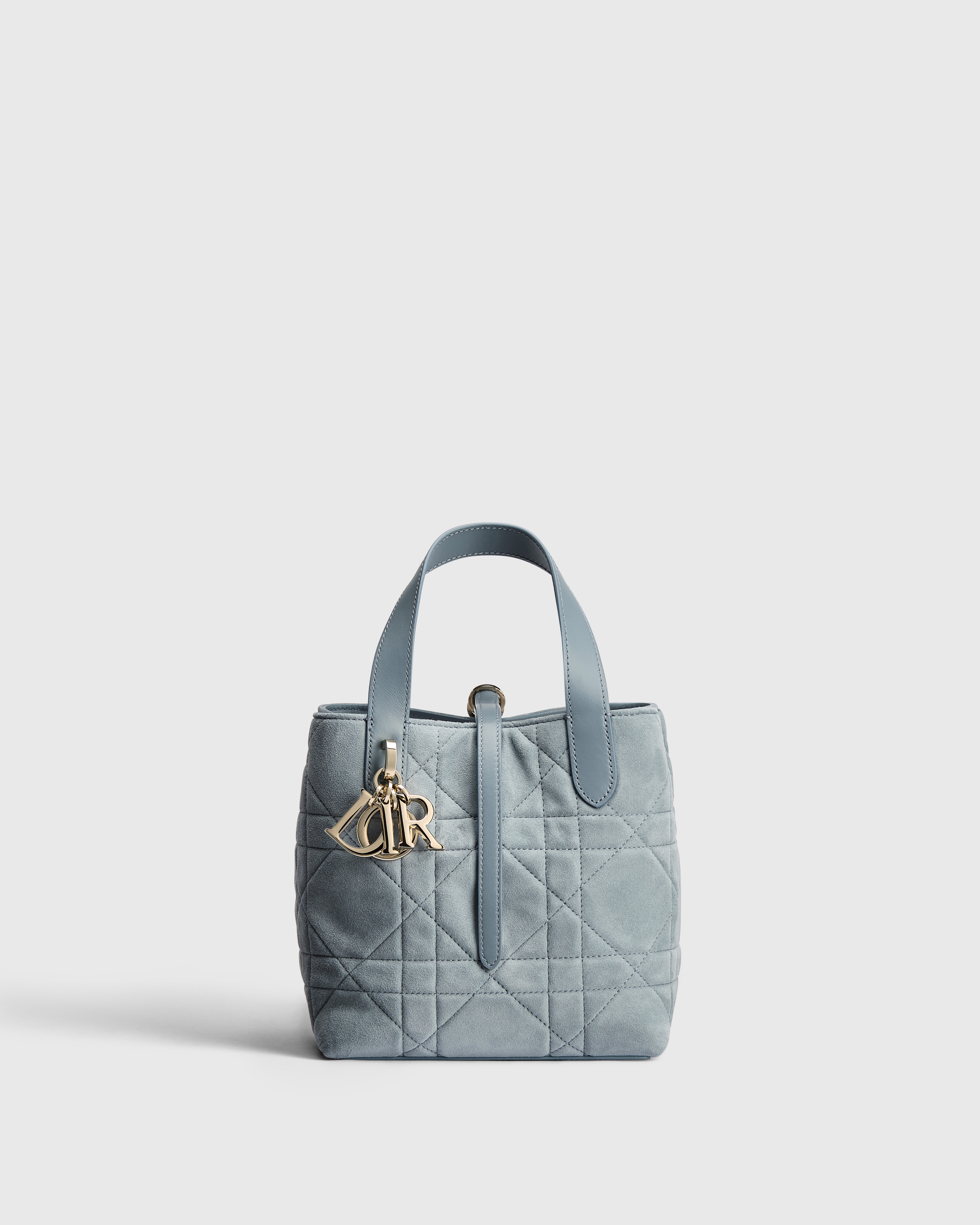 小号 Dior Toujours 竖版手袋 天蓝色绒面羊皮革超大藤格纹 E01