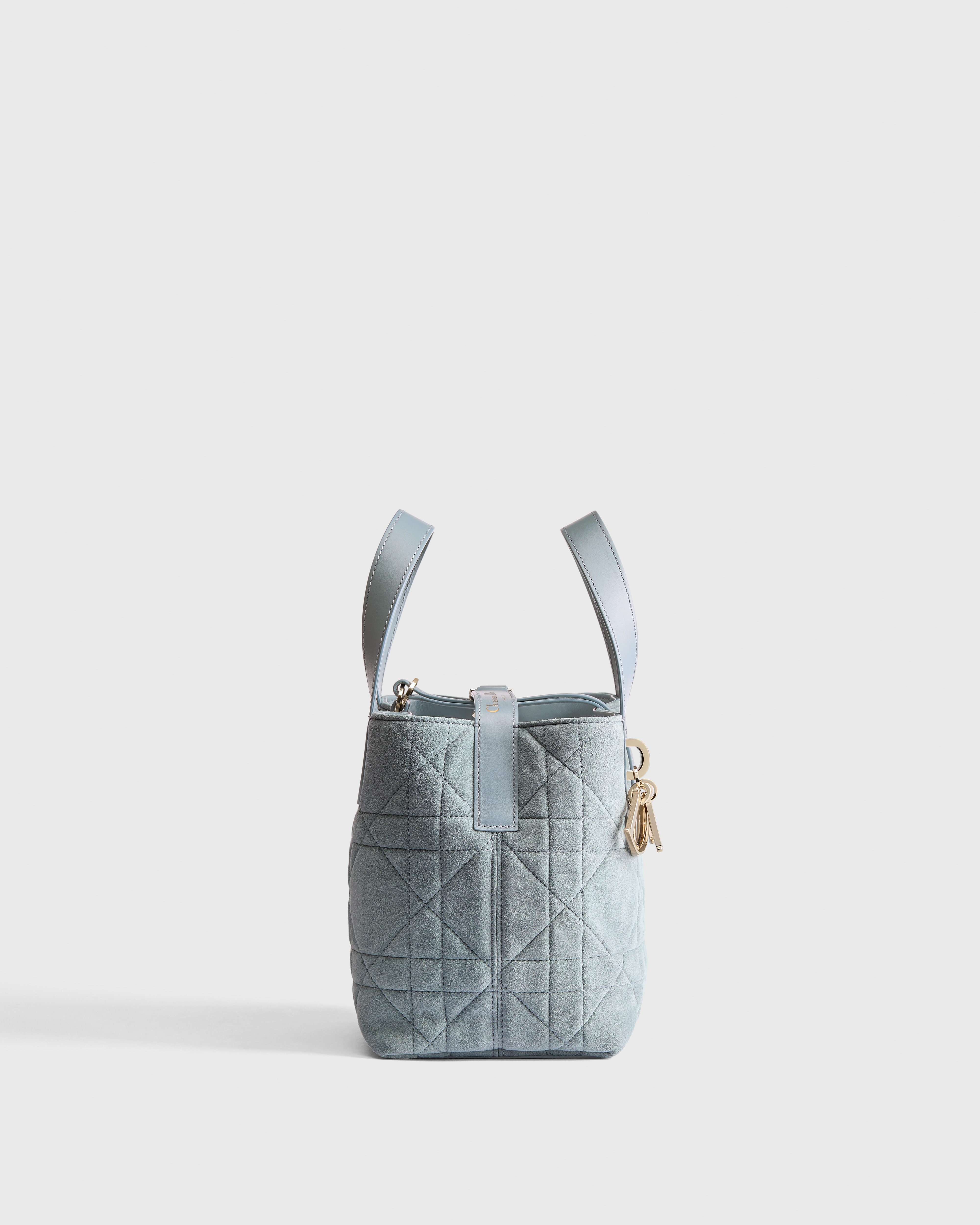 小号 Dior Toujours 竖版手袋 天蓝色绒面羊皮革超大藤格纹 E02