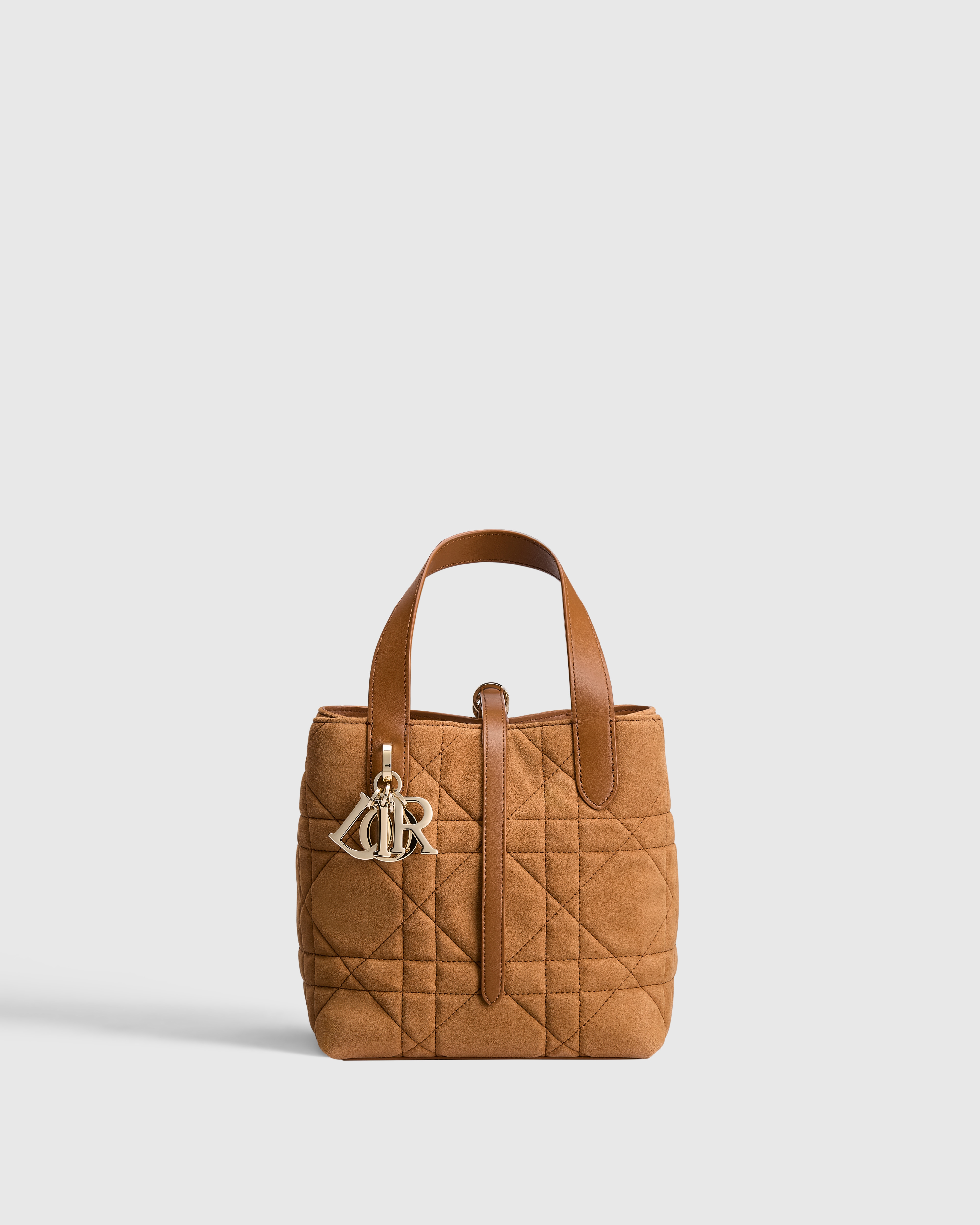 小号 Dior Toujours 竖版手袋 马鞍金色绒面羊皮革超大藤格纹 E01