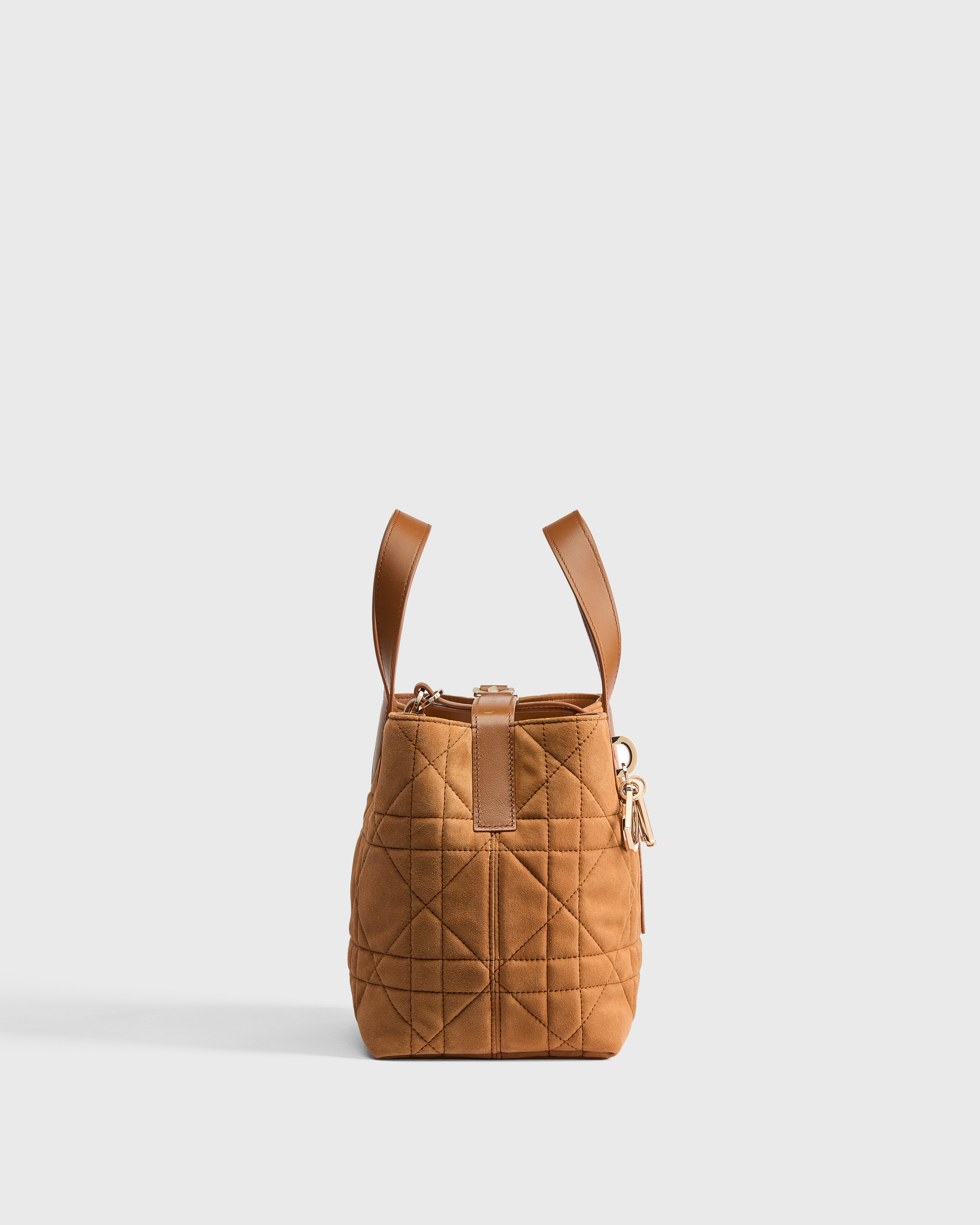 小号 Dior Toujours 竖版手袋 马鞍金色绒面羊皮革超大藤格纹 E02