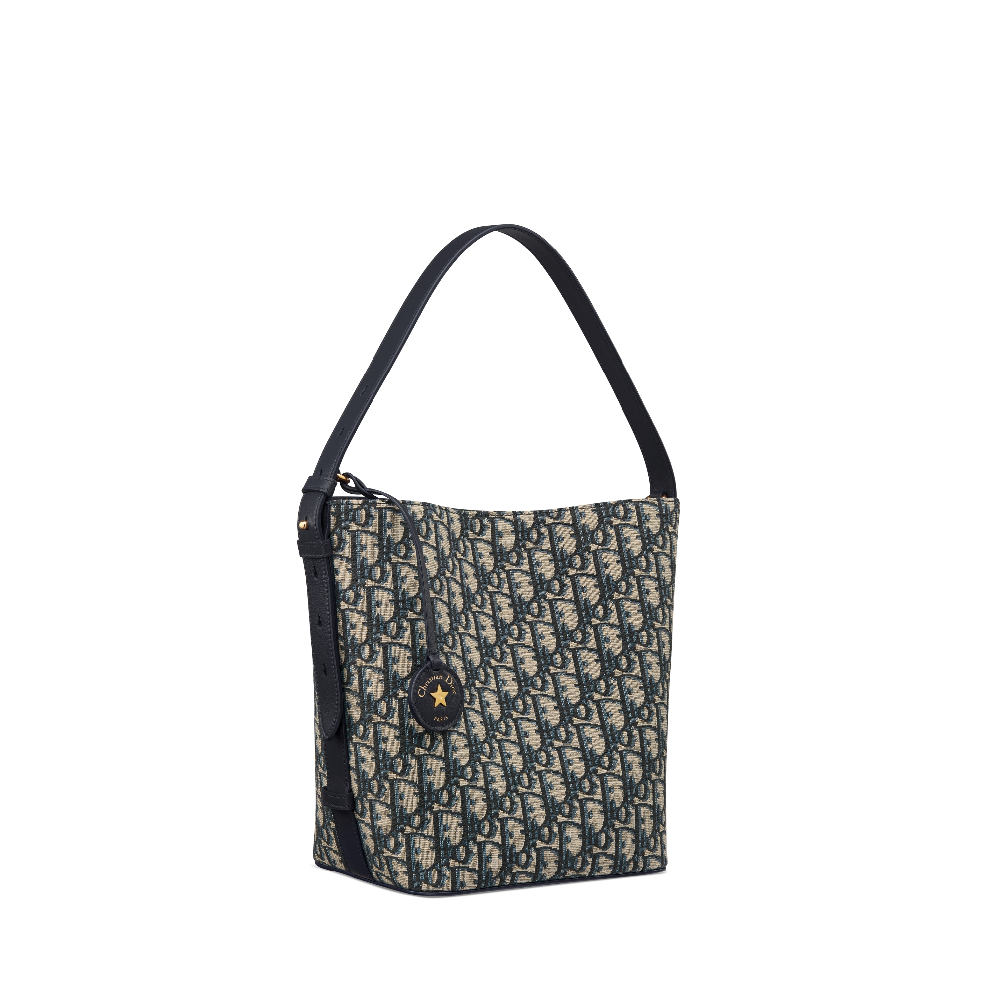 小号 Diorstar 水桶包 蓝色 Oblique 印花面料 E03