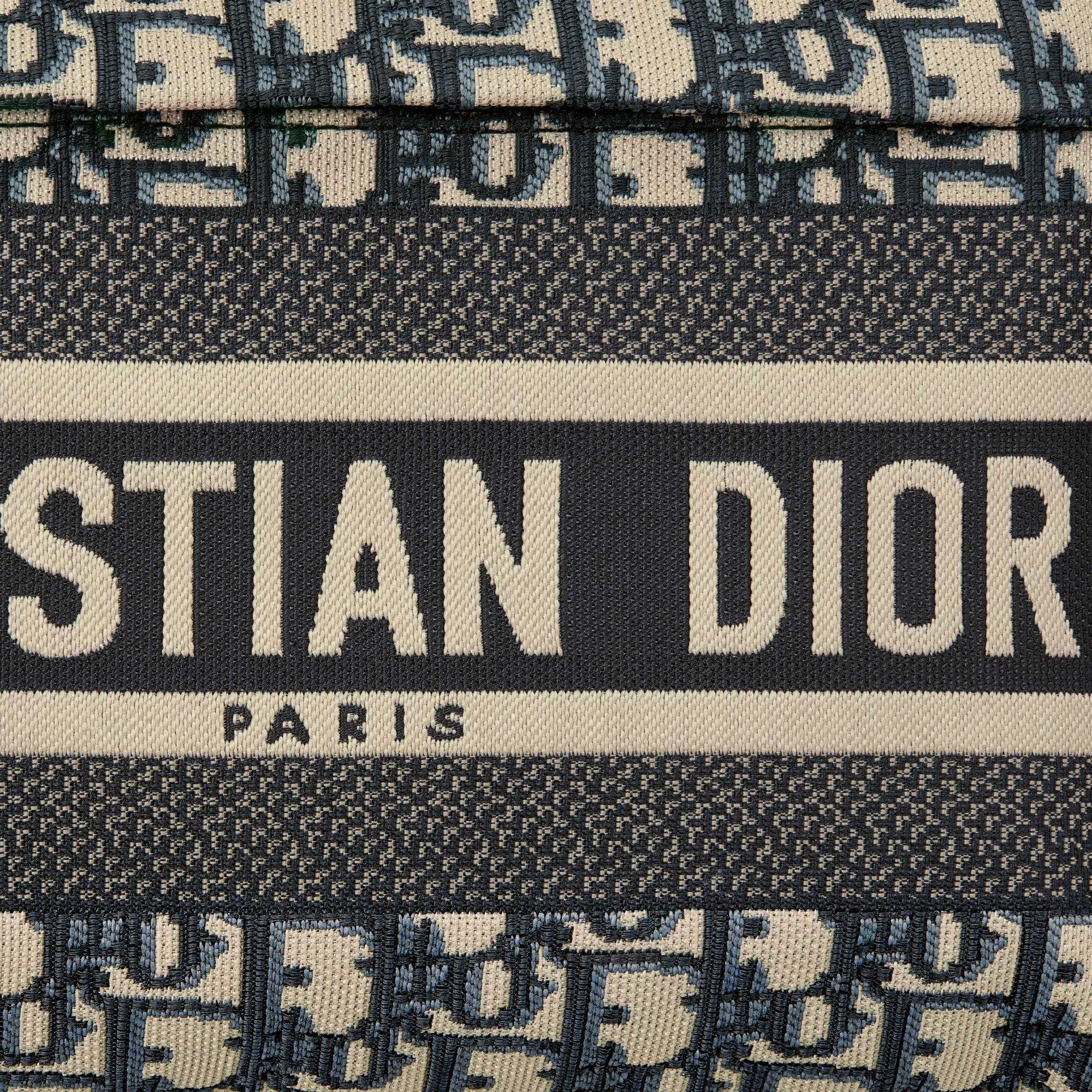 DiorTravel 双肩背包 蓝色 Oblique 印花面料 E09