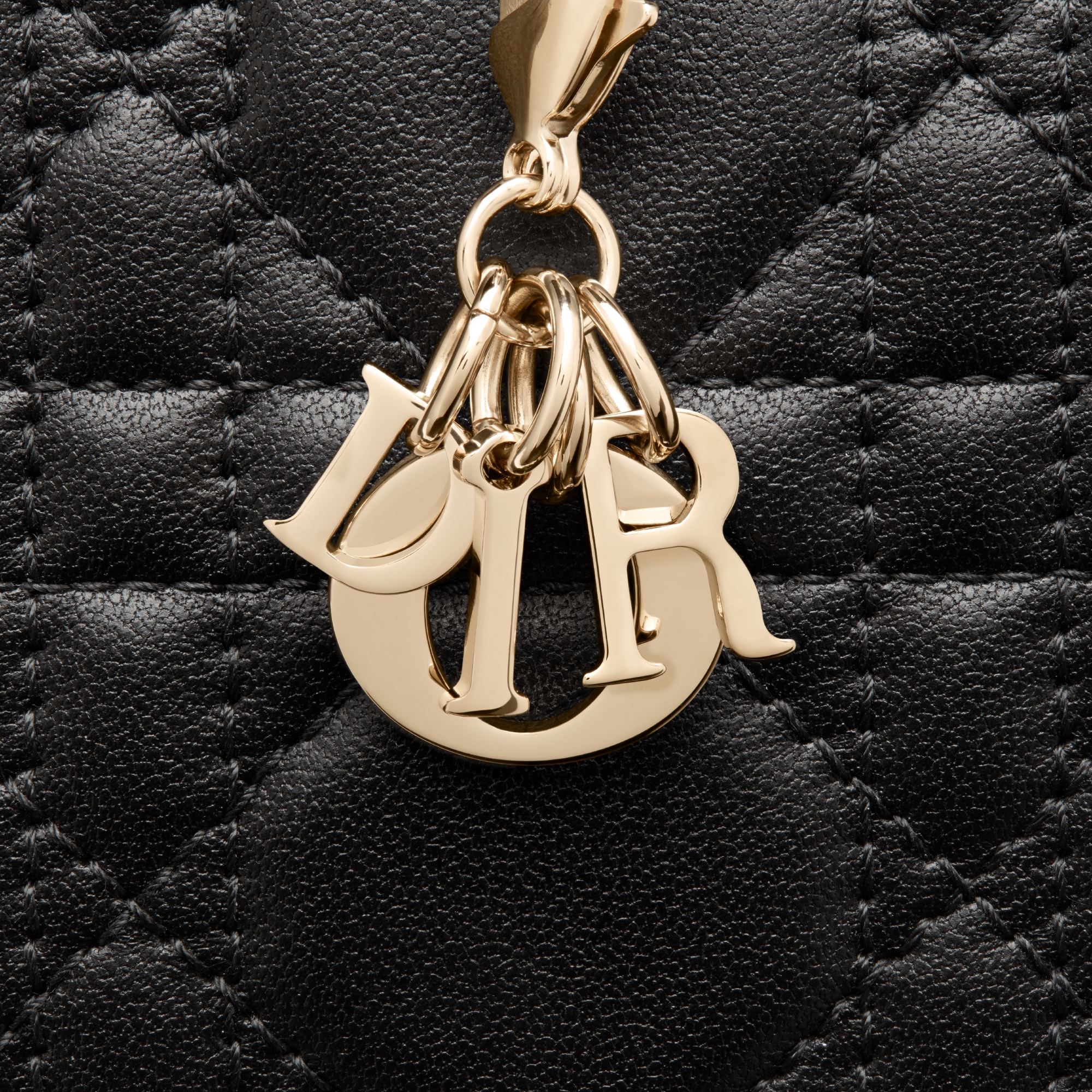 LADY DIOR VOYAGEUR パース LADY DIOR VOYAGEUR パース DIOR | 【日本限定】Dioramour Lady Dior