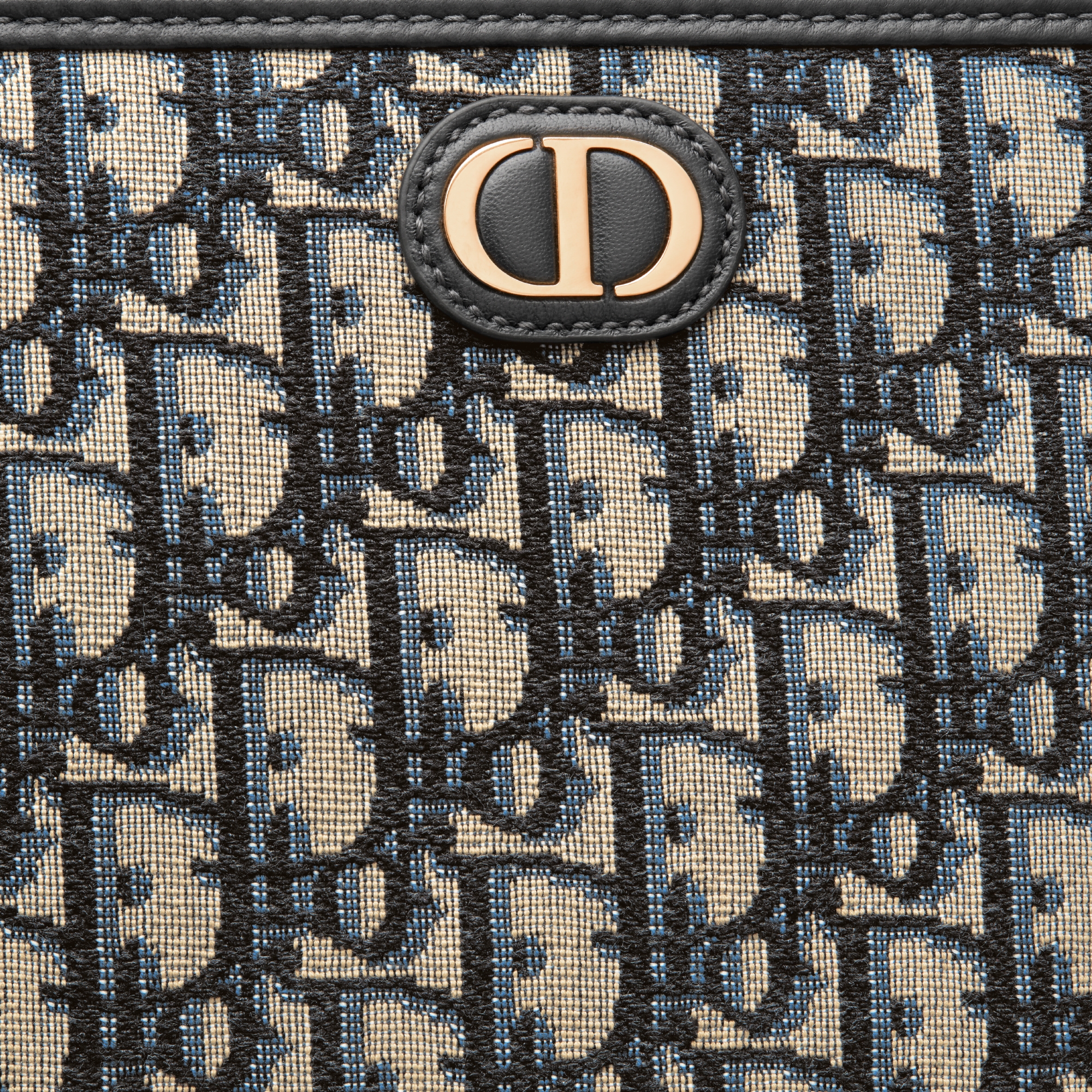 30 Montaigne Dea 手拿包 蓝色 Oblique 印花面料 E09