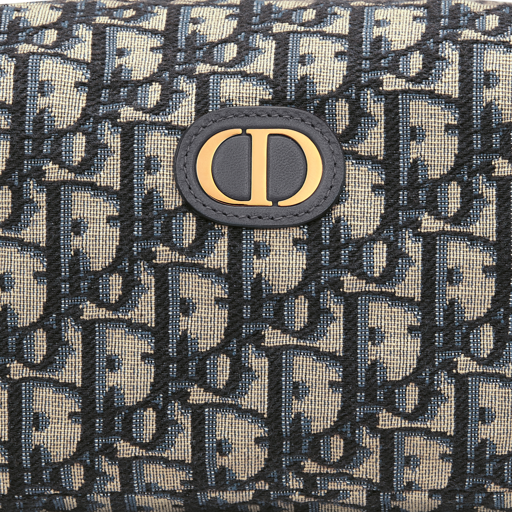 30 Montaigne Vénus 手拿包 蓝色 Oblique 印花面料 E09