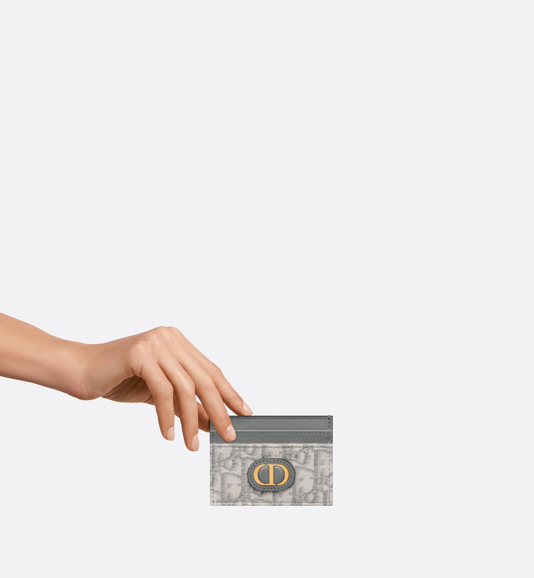 30 Montaigne Freesia 卡夹 灰色 Oblique 印花 E11