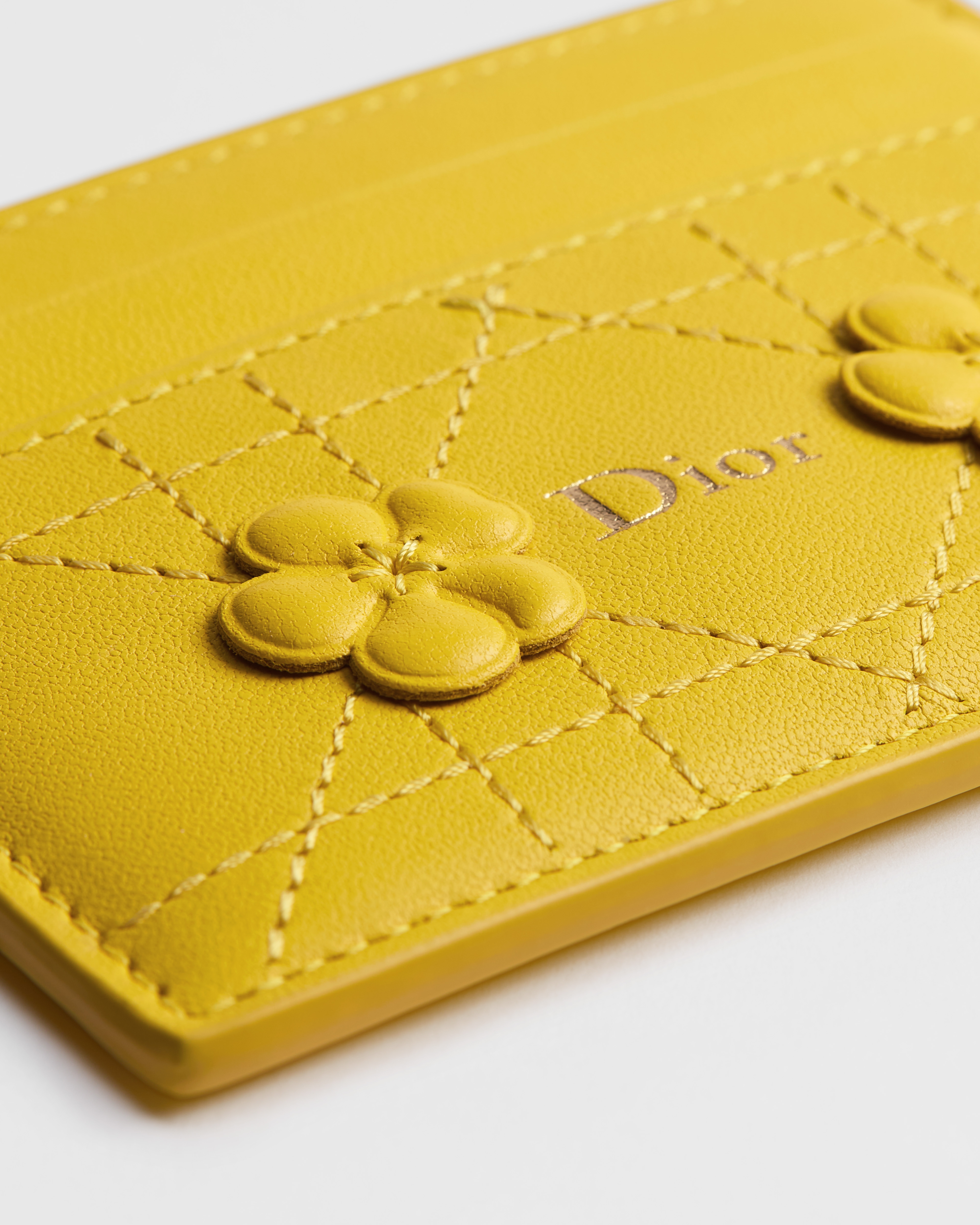 Dior Jardin Freesia 卡夹 羊皮革藤格纹 Dior Buttercup 图案刺绣 E09